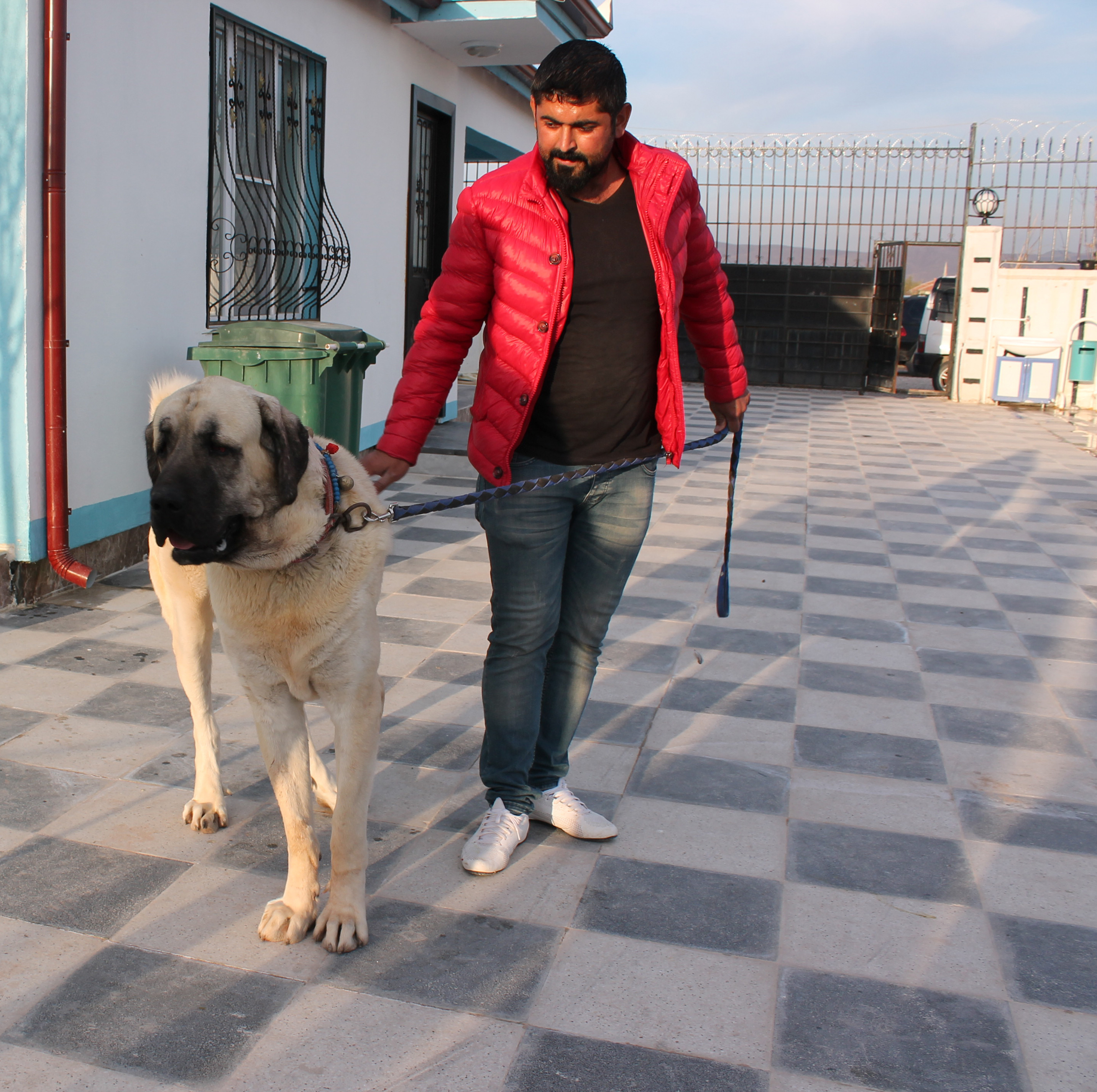 20181105_2_33268555_38754876