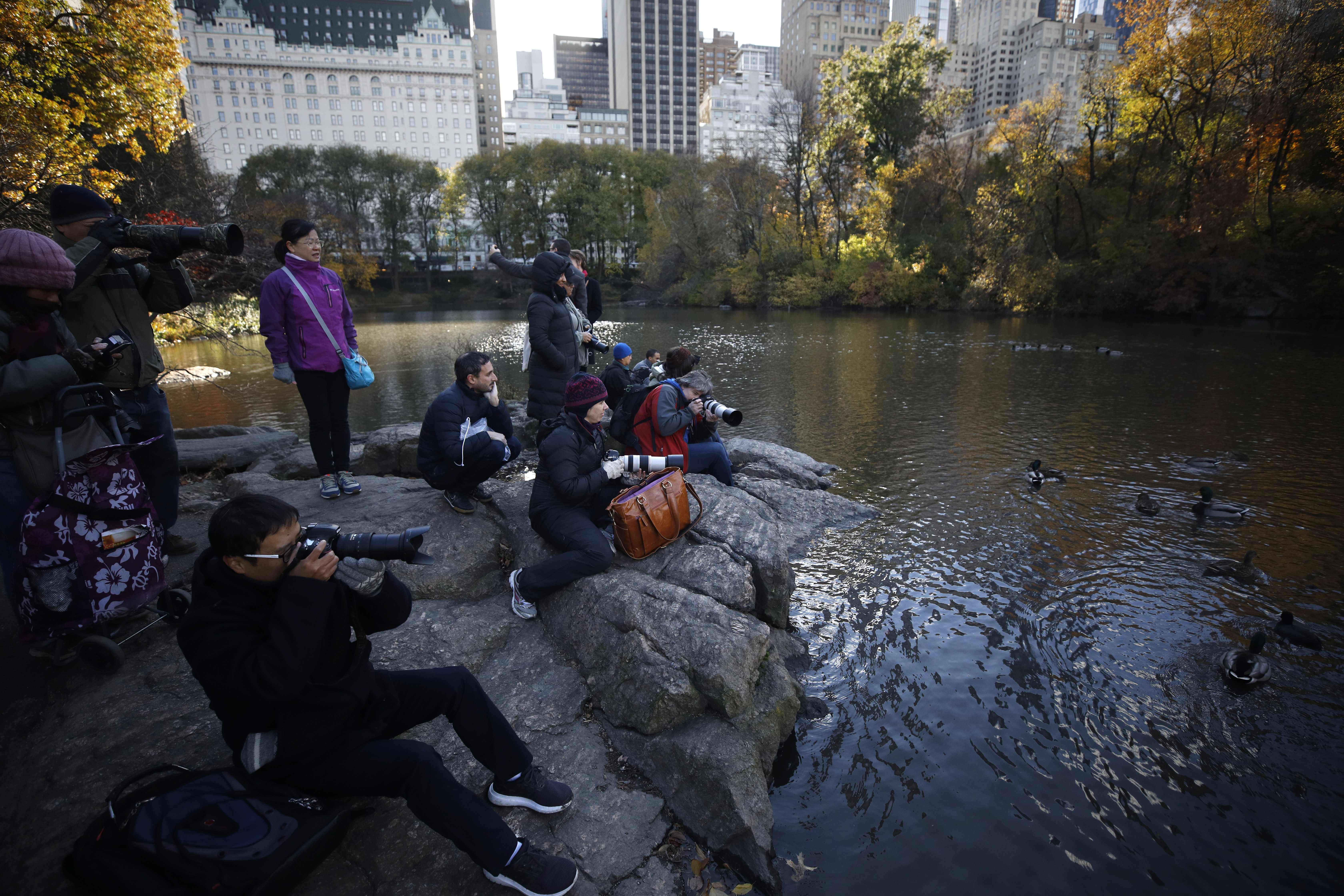 20181115_2_33430647_39032291