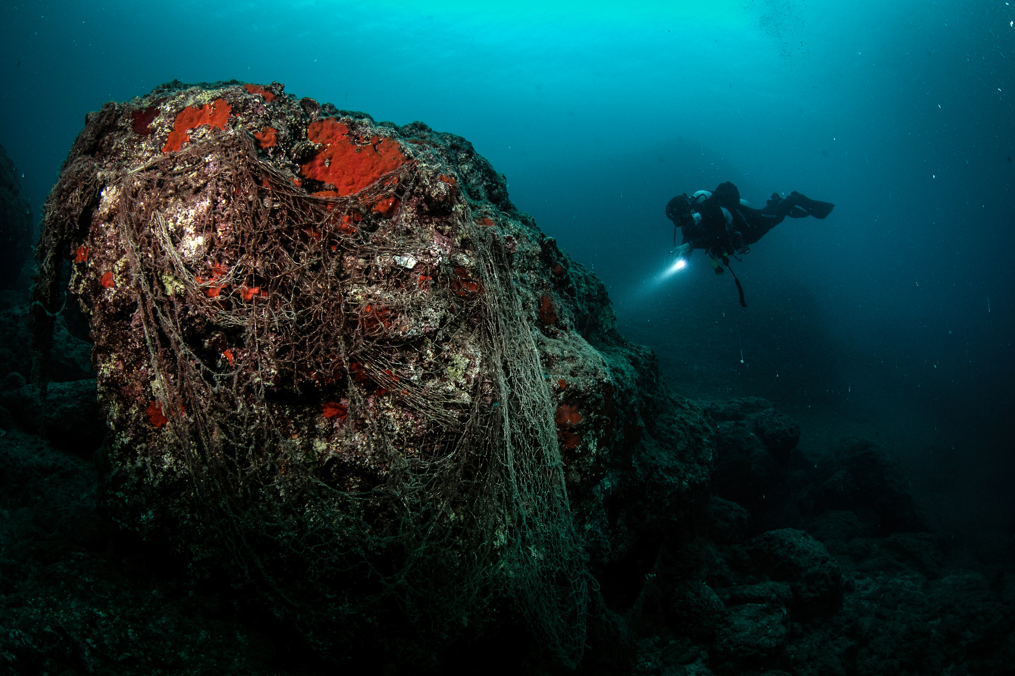 20181207_2_33816415_39692230