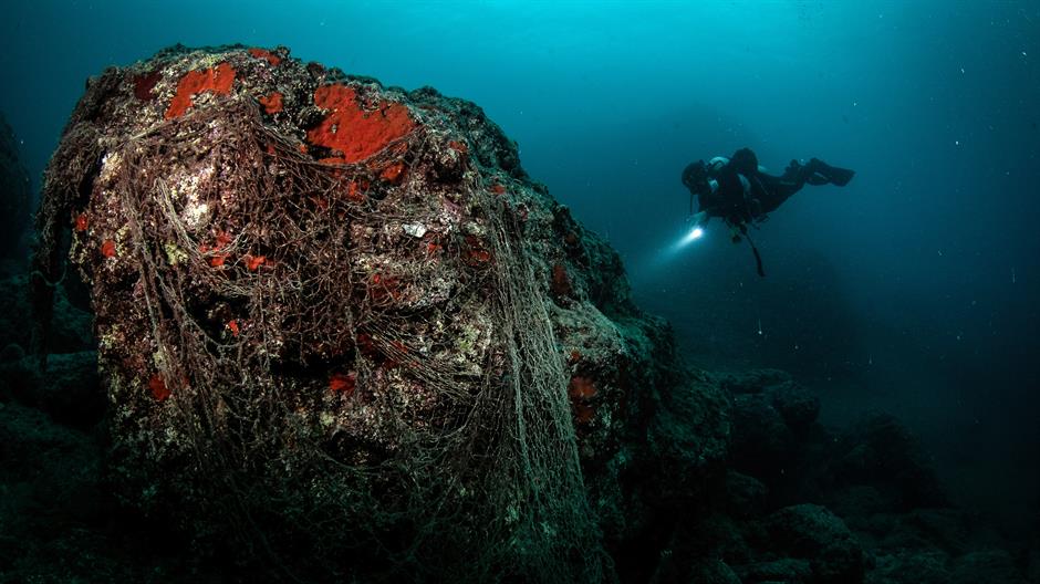 20181207_2_33816415_39692230