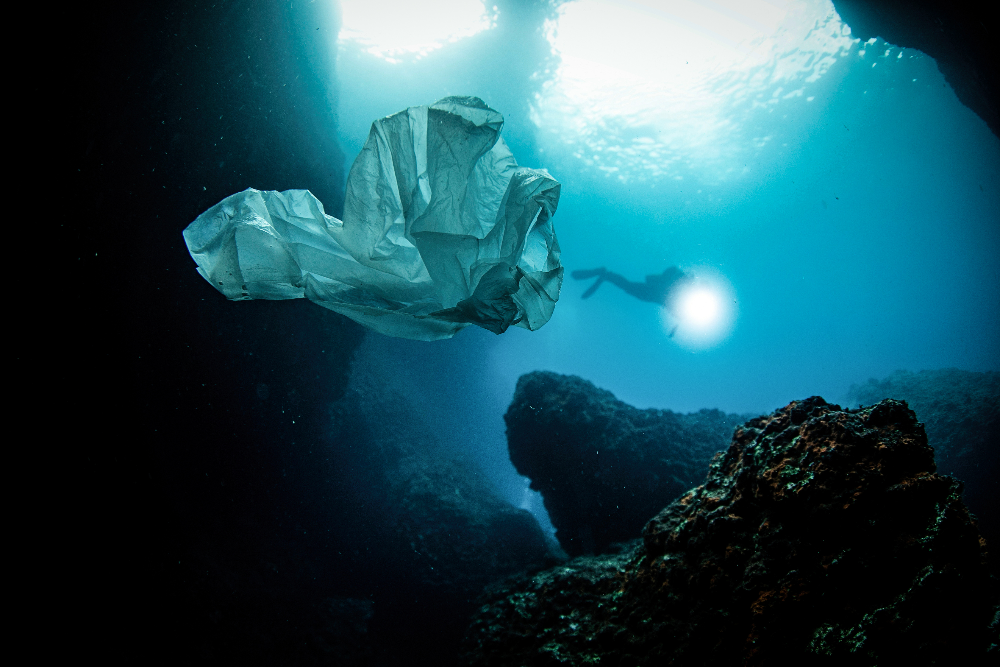 20181207_2_33816415_39692242