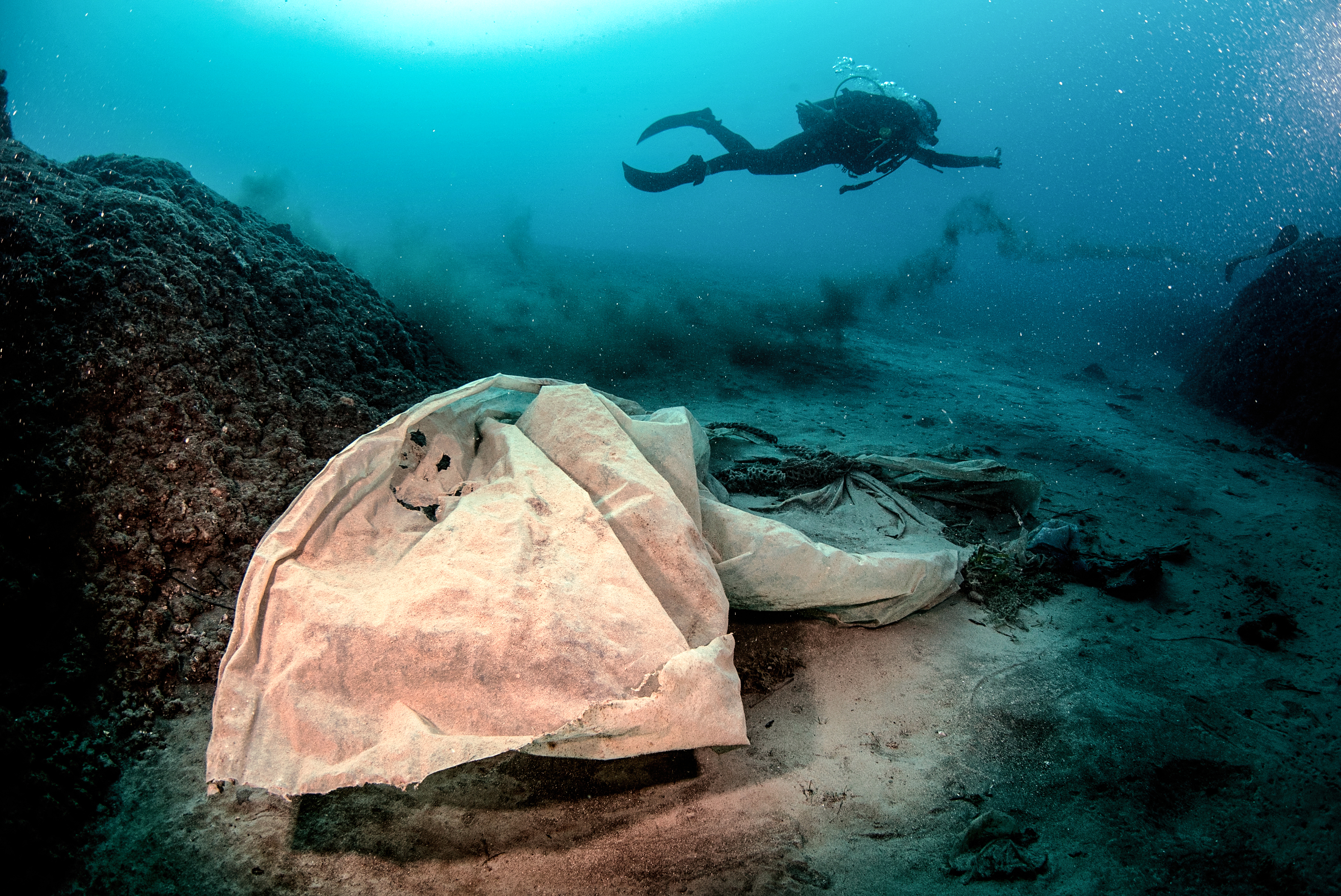 ANADOLIJA/Şebnem Coşkun