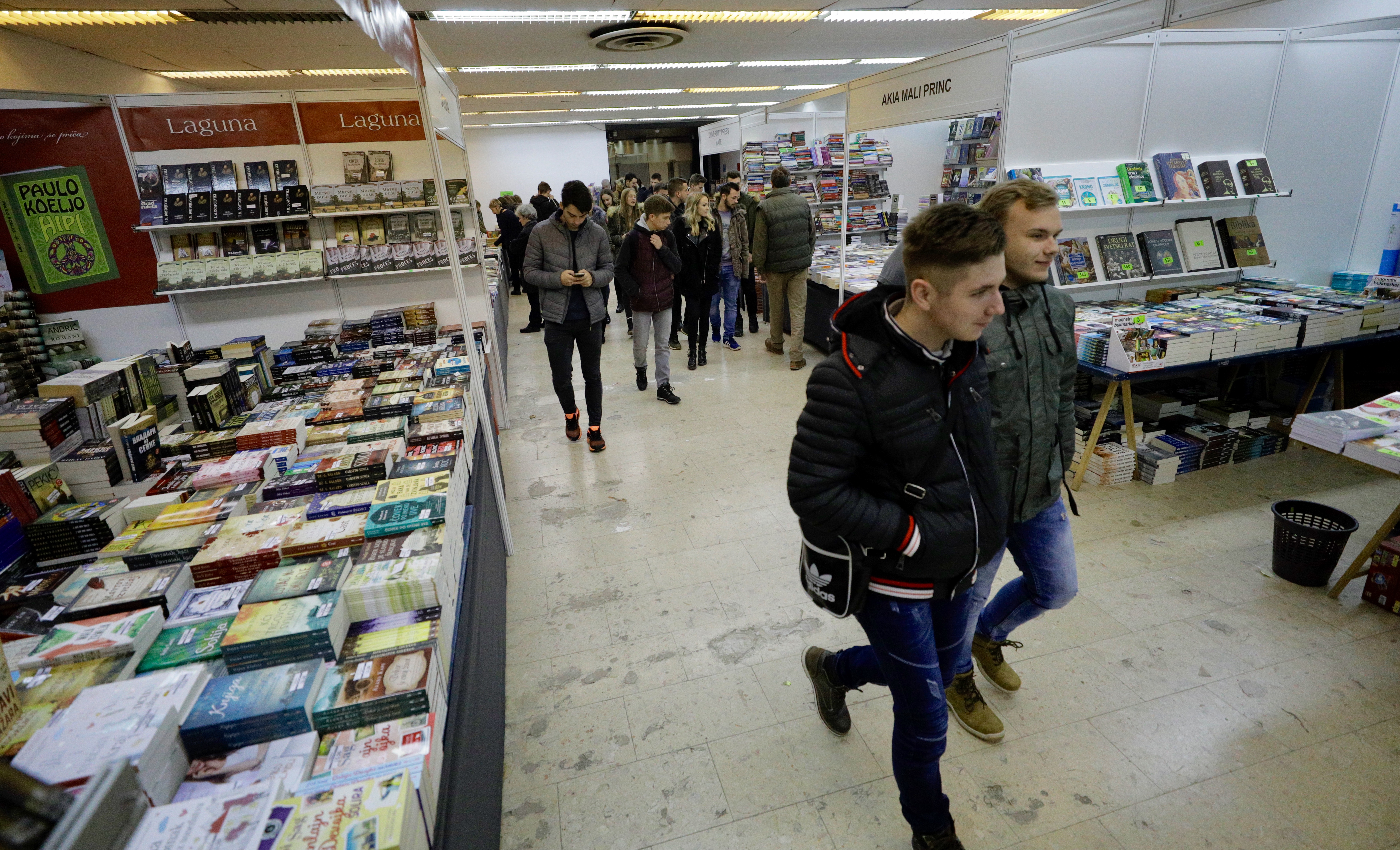 20181213_2_33906612_39852191