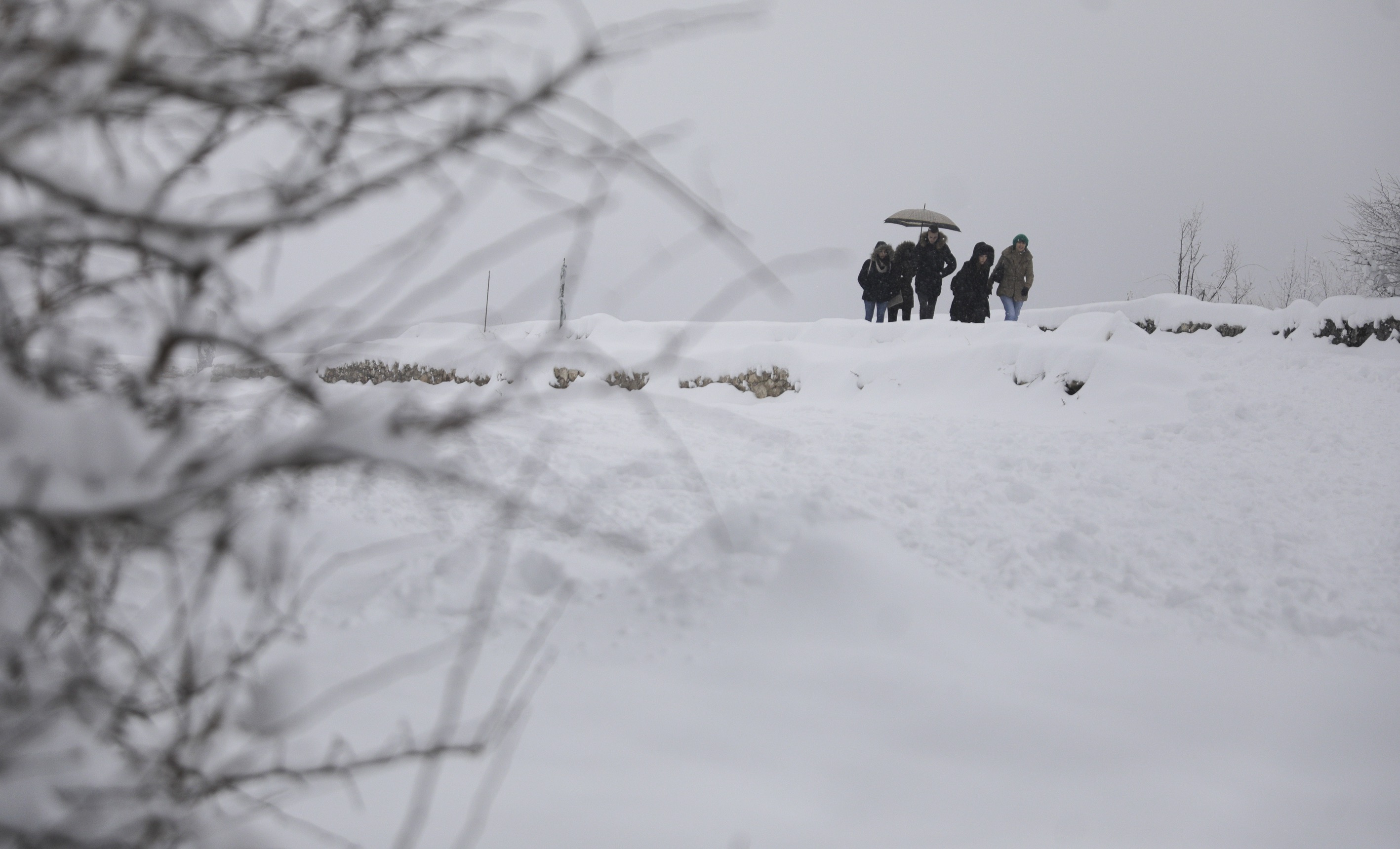 20181215_2_33948465_39928309