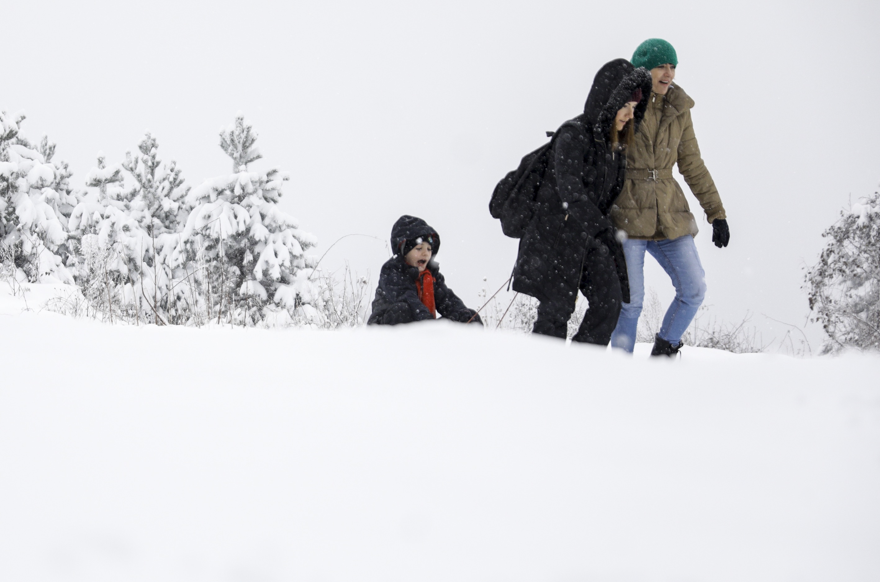 20181215_2_33948465_39928310