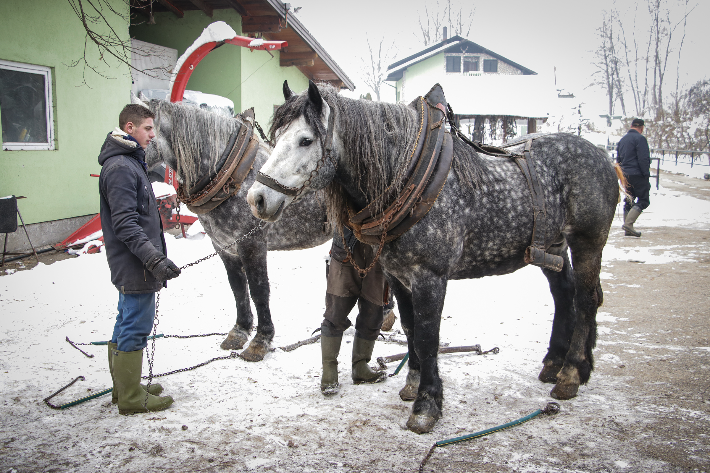 20181223_2_34079233_40134463