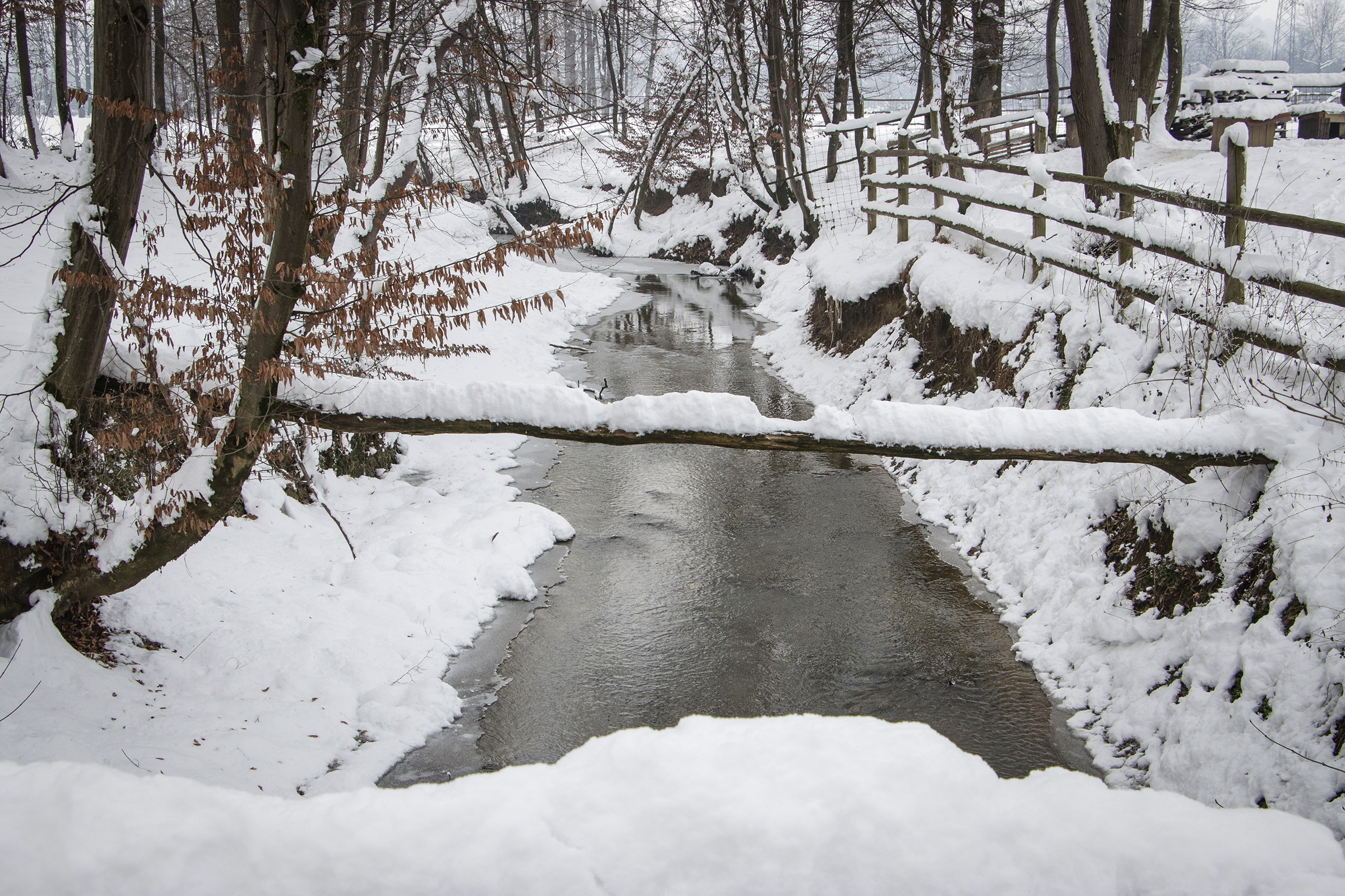 20181223_2_34079233_40134464