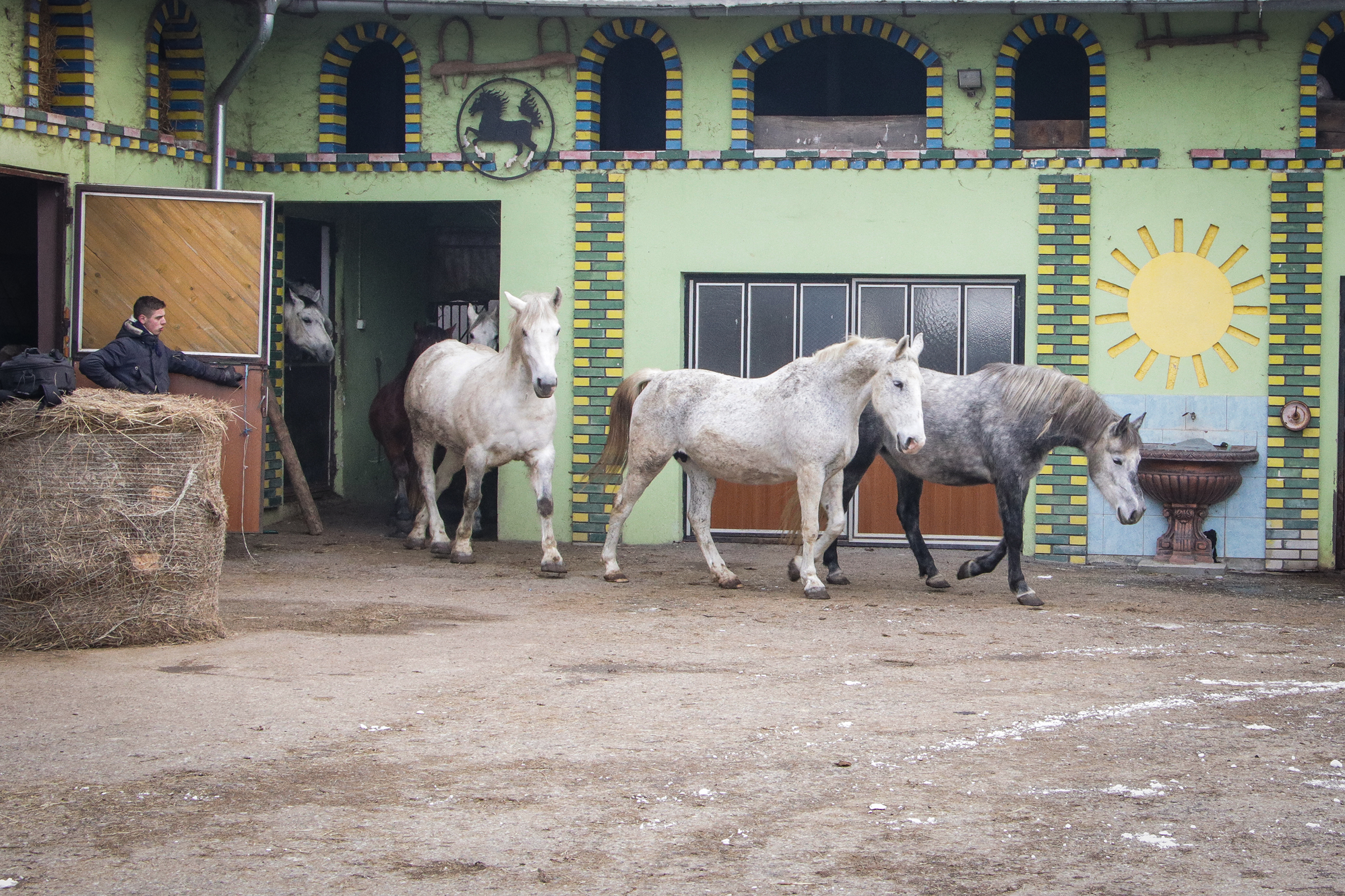 20181223_2_34079233_40134465