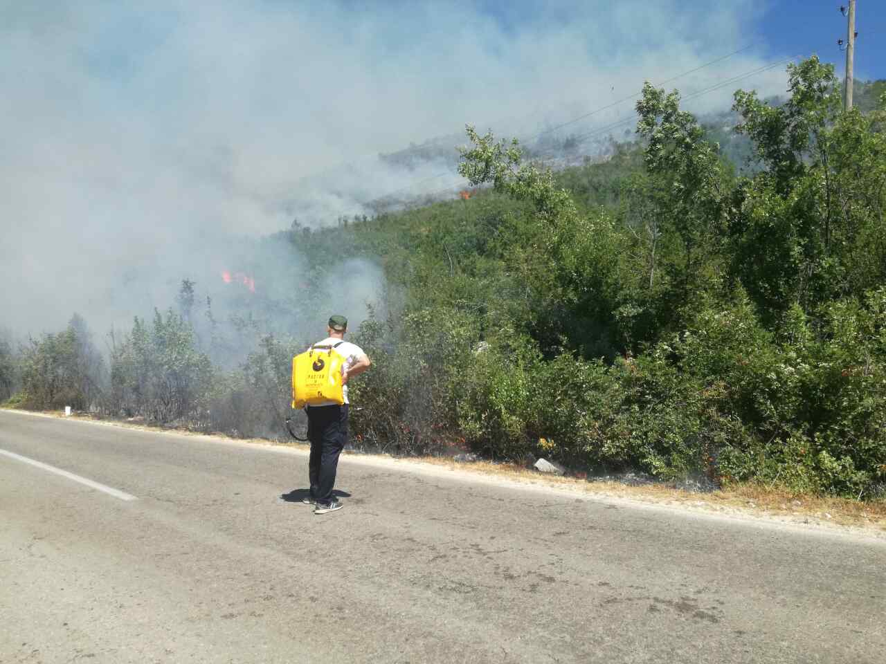 20182483_10155005629257979_94254737_o