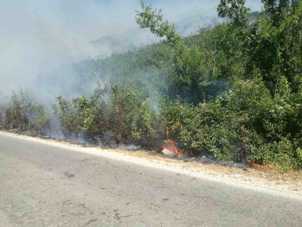 20187056_10155005630257979_1246885125_o