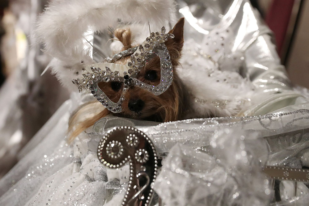 REUTERS/Shannon Stapleton