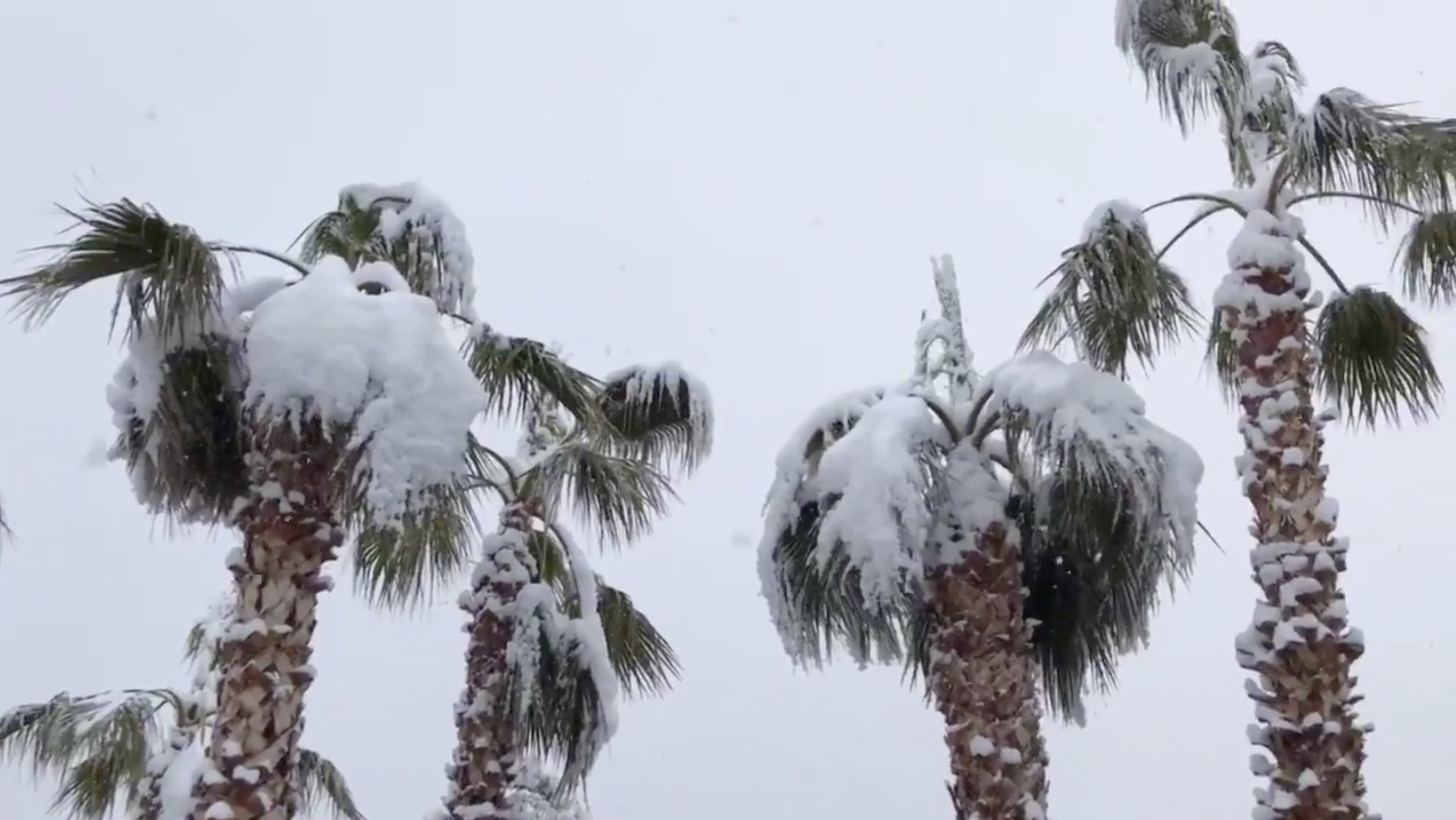 2019-02-21T181958Z_260023192_RC1FABD94590_RTRMADP_3_USA-WEATHER