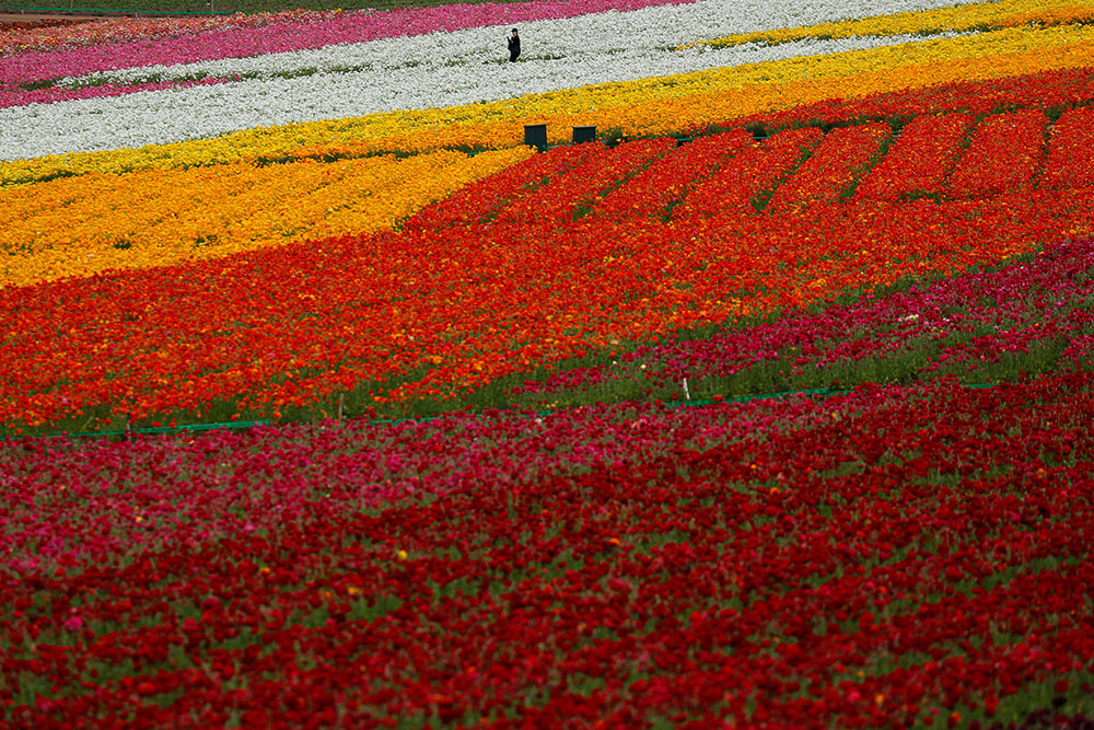 2019-03-21T220510Z_1598510416_RC13877AAD50_RTRMADP_3_USA-DAILYLIFE