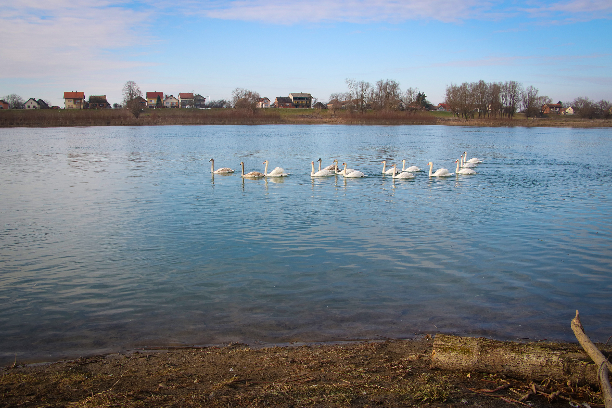 20190105_2_34263760_40451235