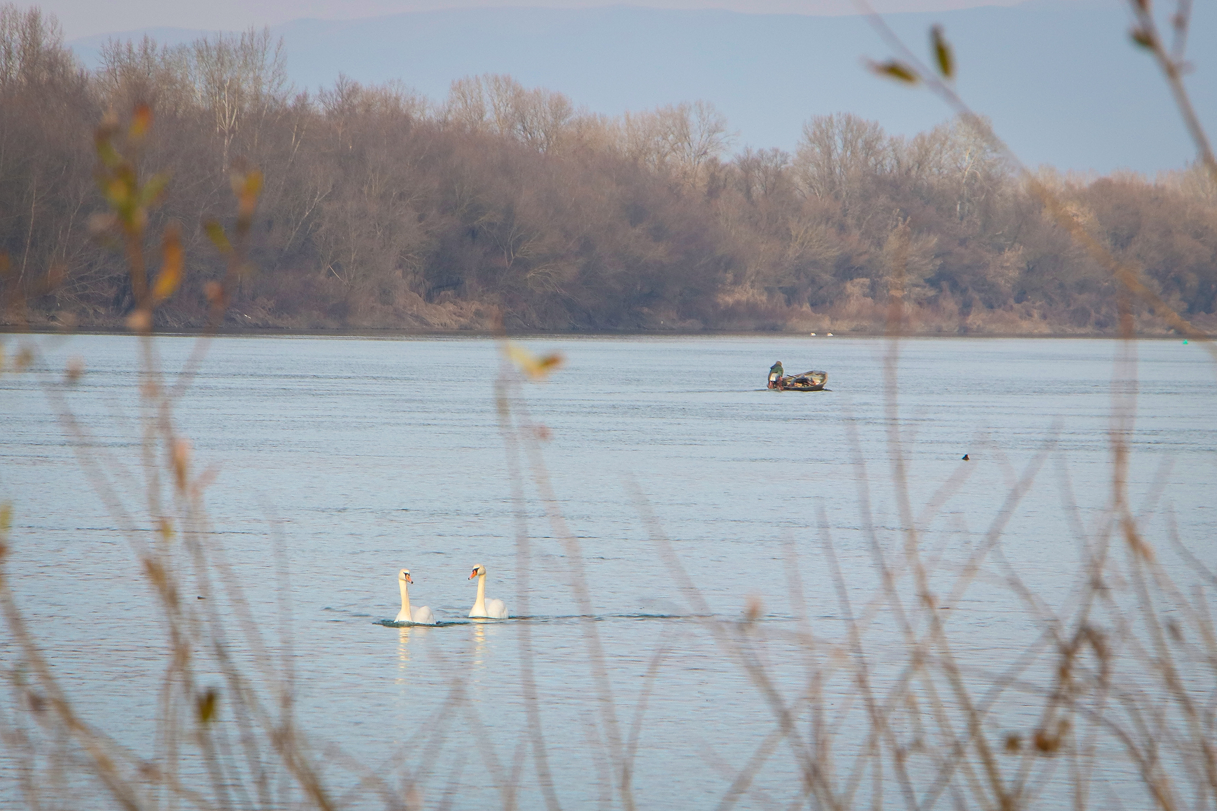 20190105_2_34263760_40451236