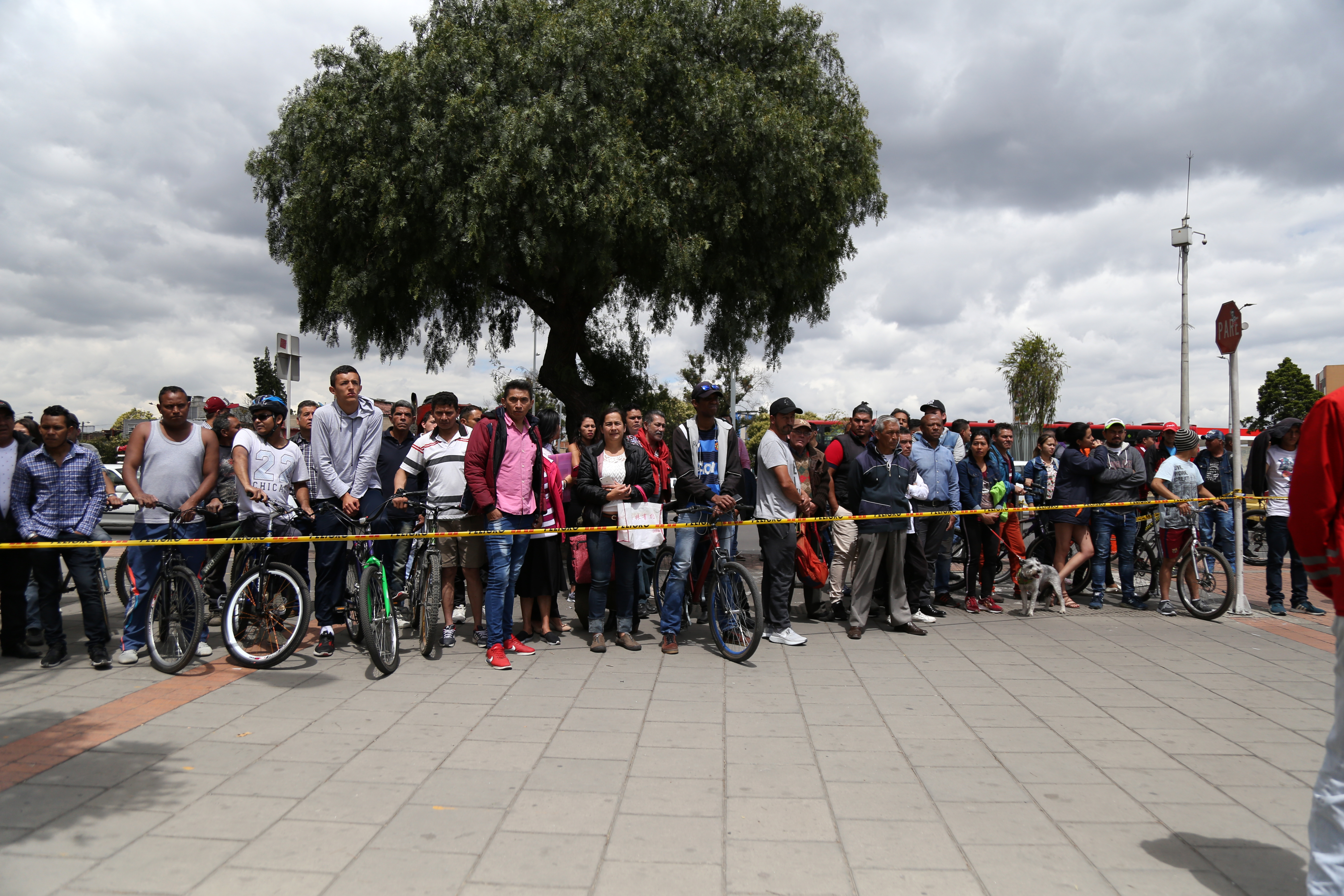 20190117_2_34471769_40833601