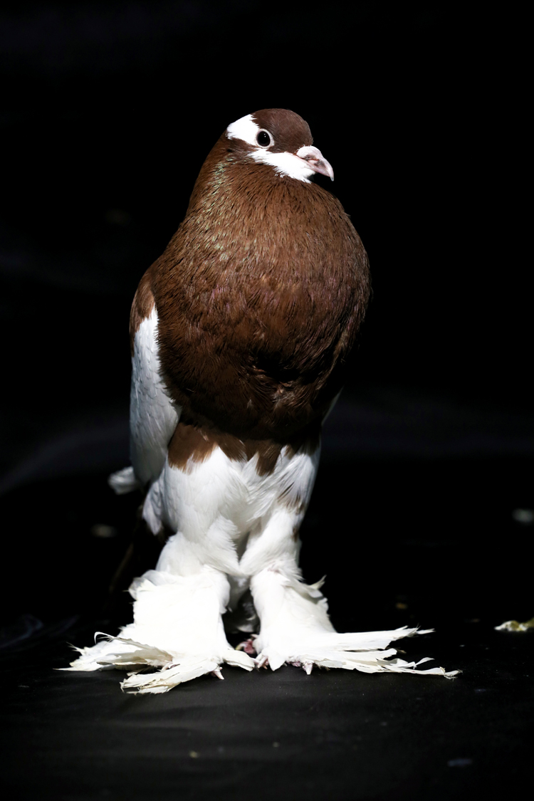 20190123_2_34557103_41001823