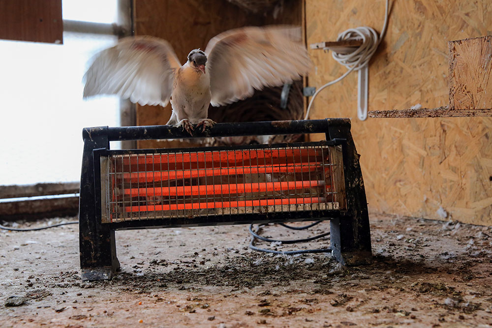 Anadolija/Ömer Yasin Ergin