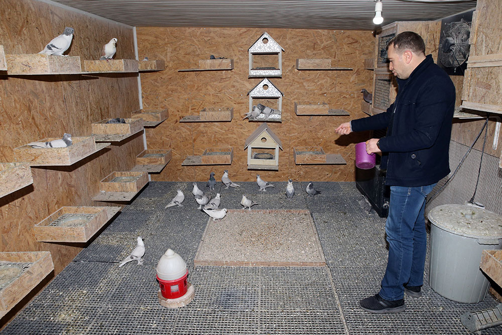 Anadolija/Ömer Yasin Ergin