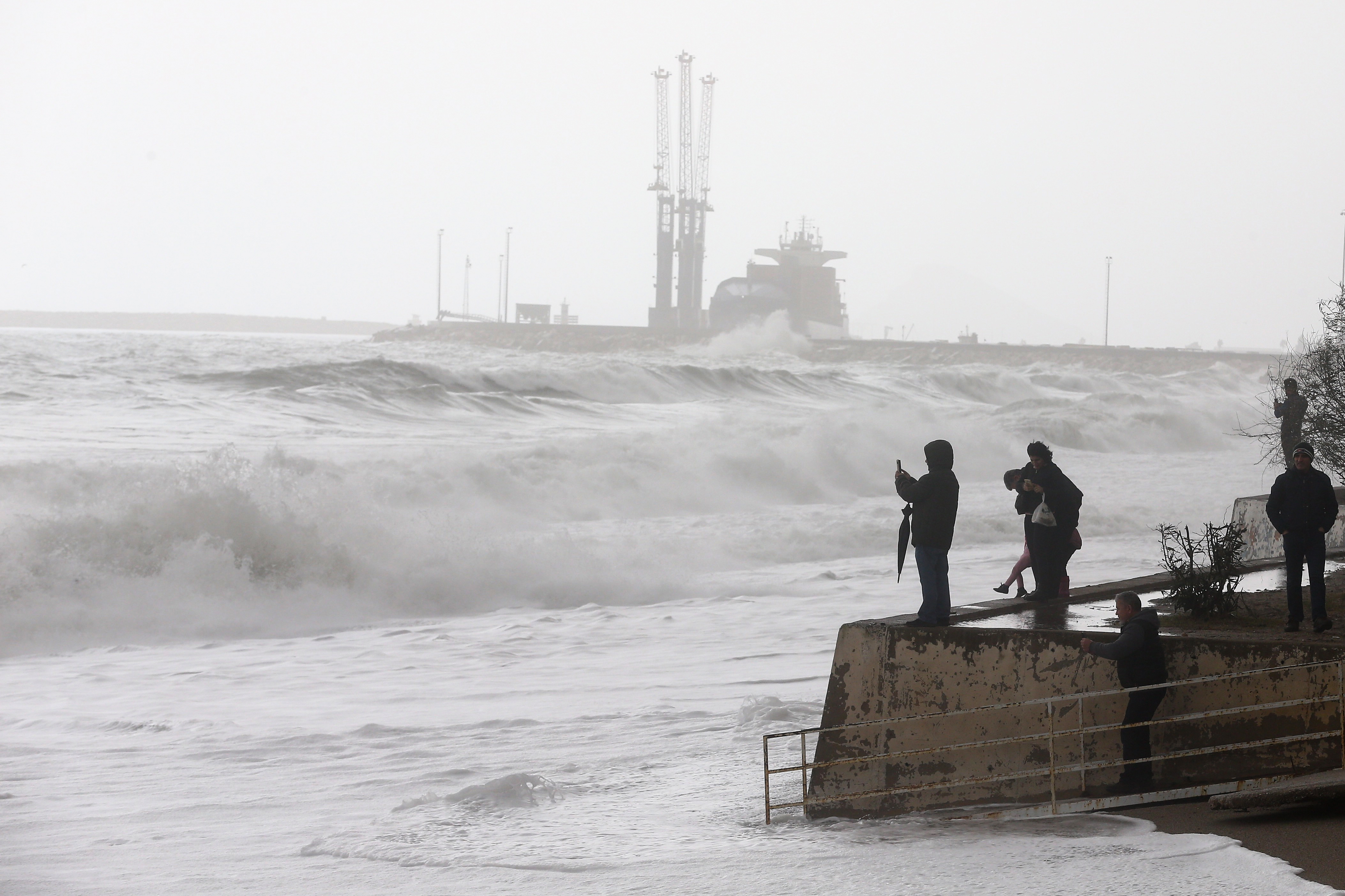 20190126_2_34616523_41108852