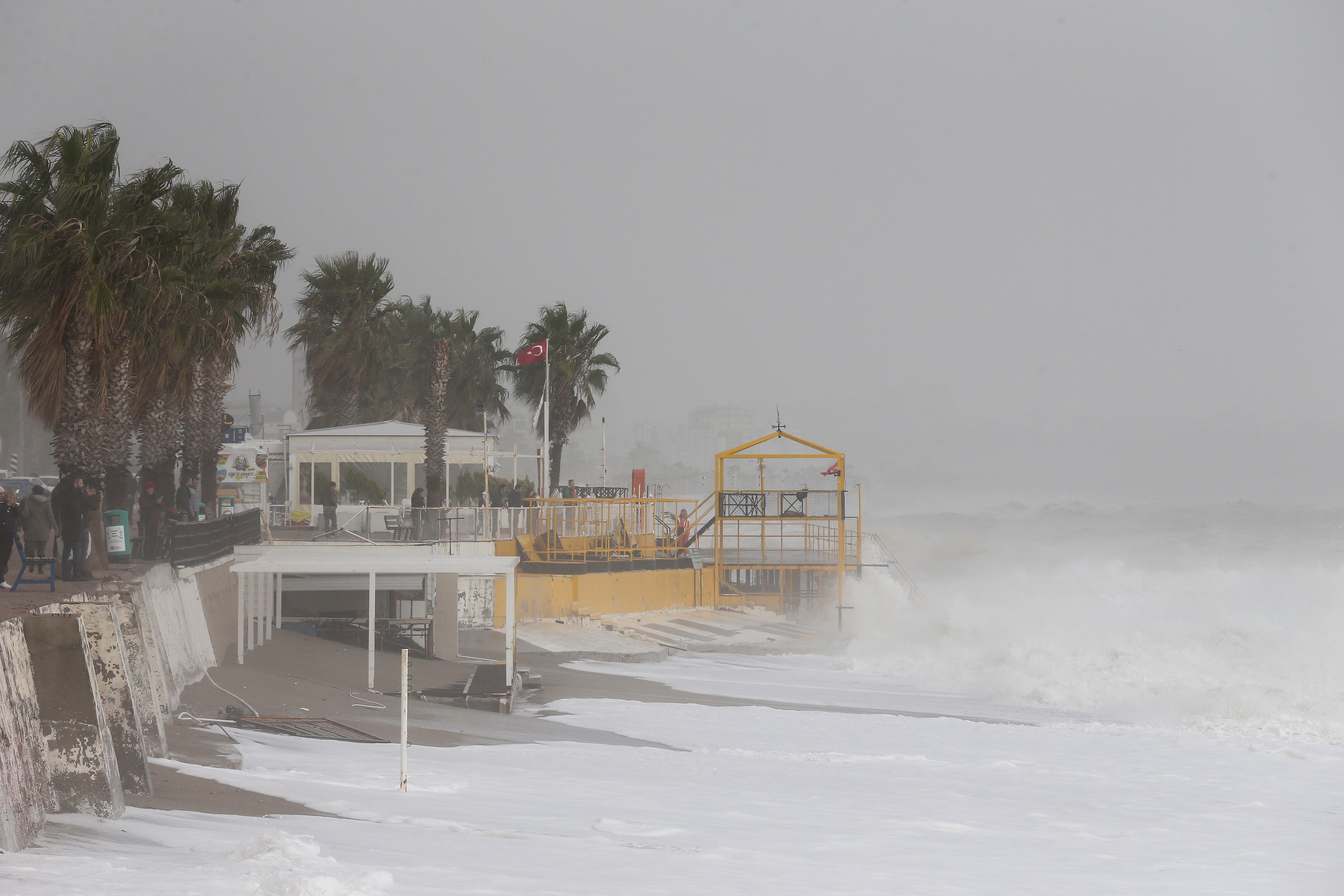 20190126_2_34616523_41108853