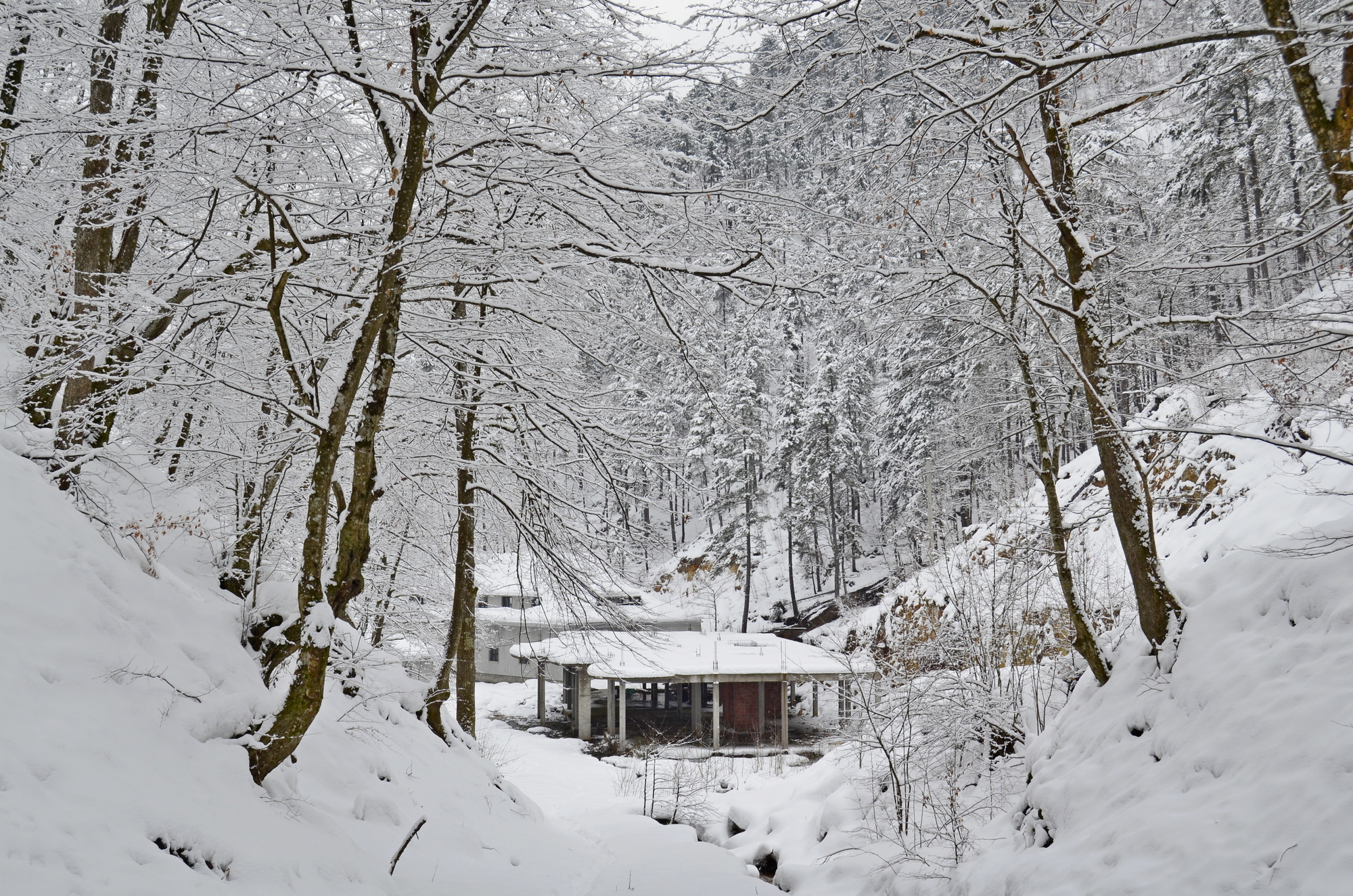 20190127_2_34622061_41121484