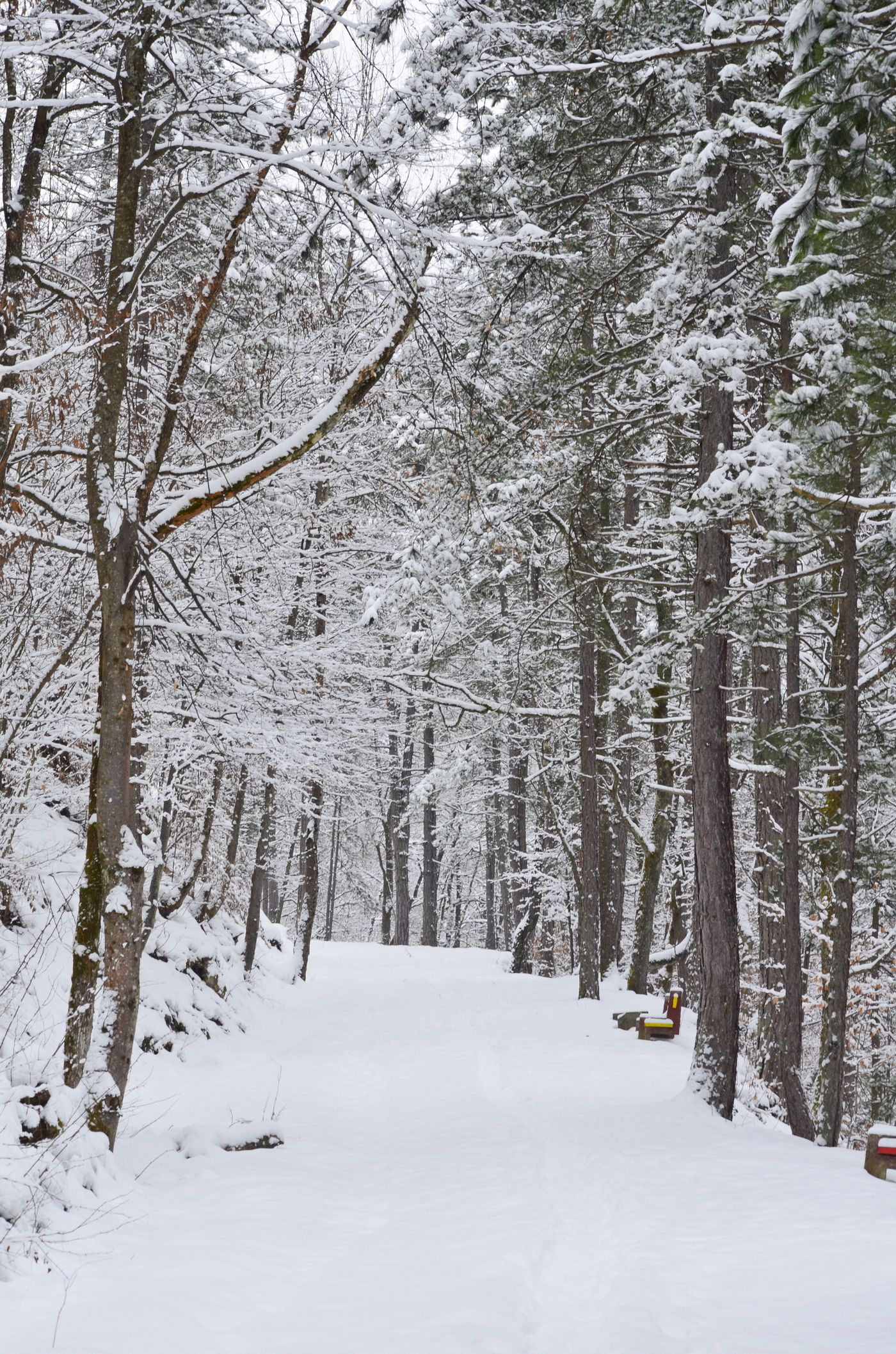 20190127_2_34622061_41121485