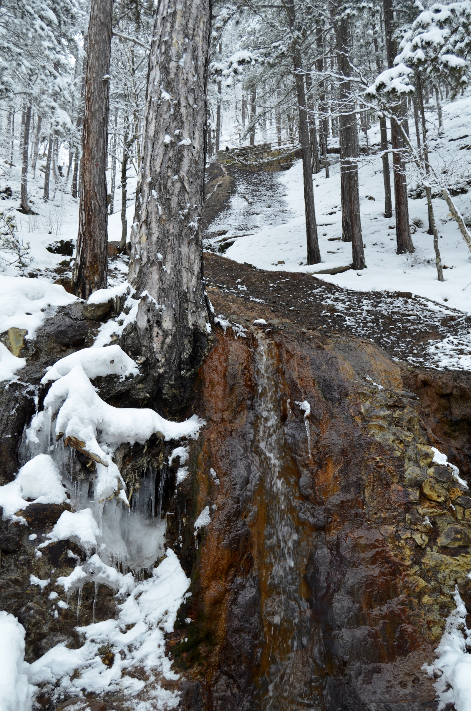 20190127_2_34622061_41121486