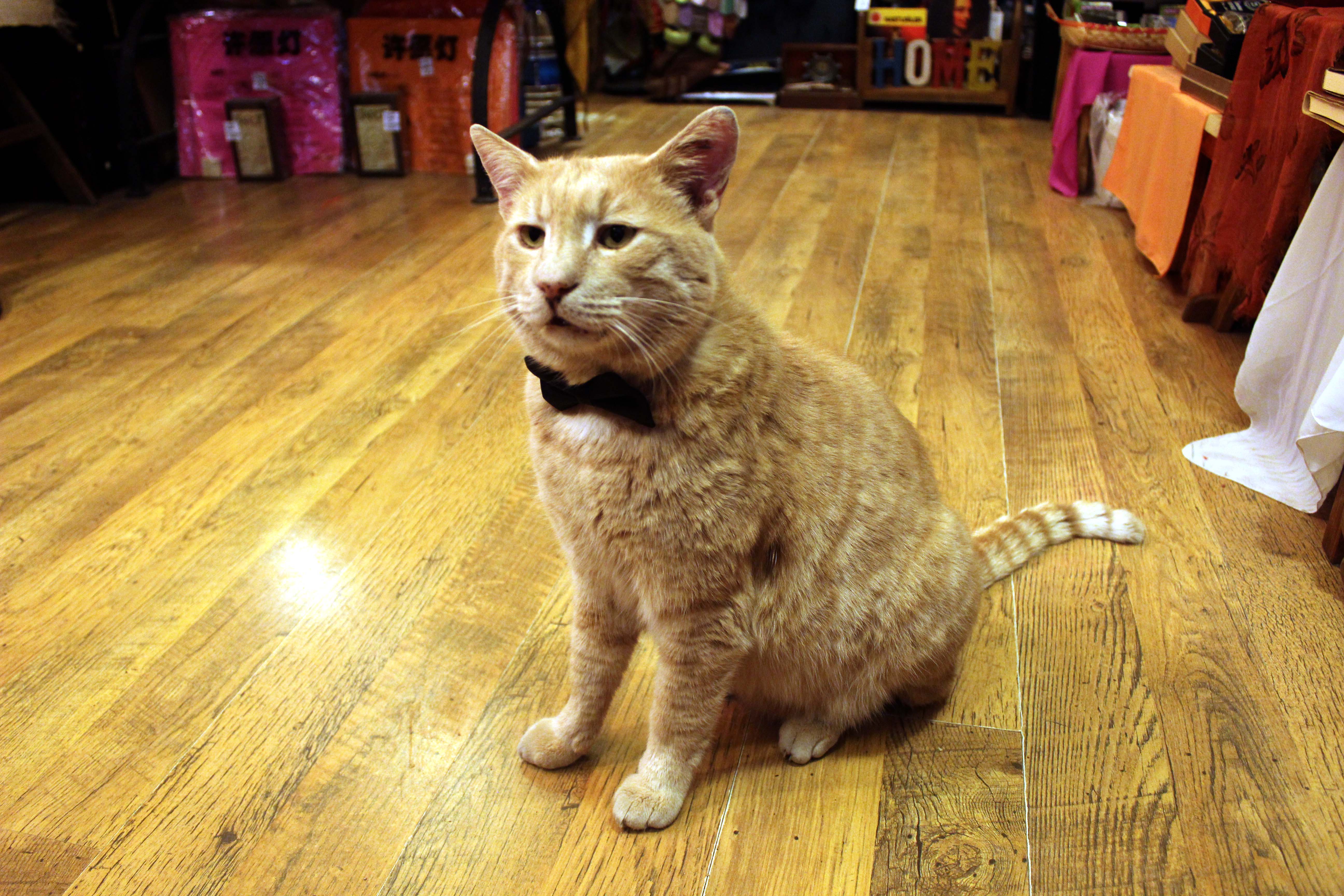 20190130_2_34672313_41200970