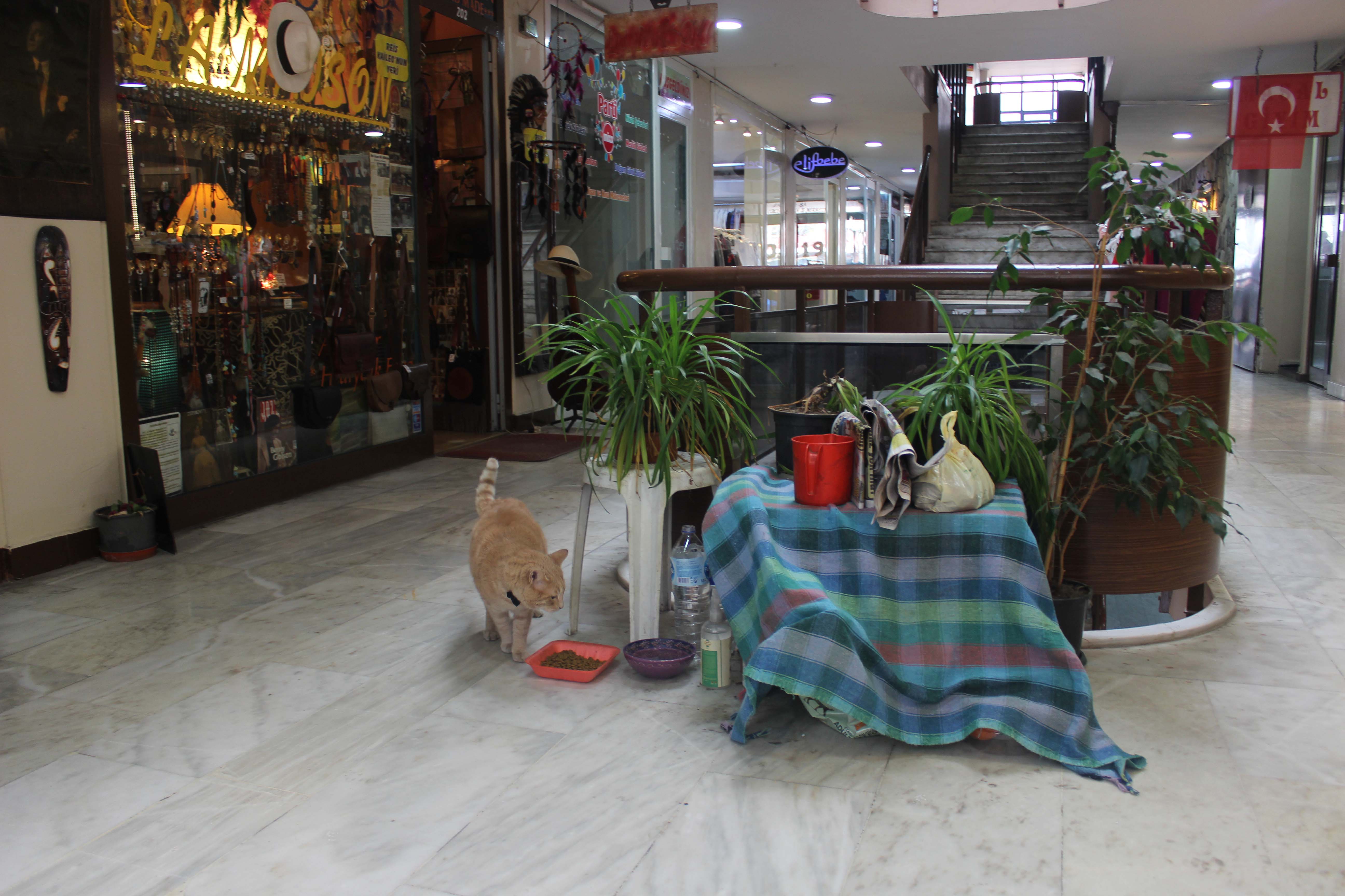 20190130_2_34672313_41200971