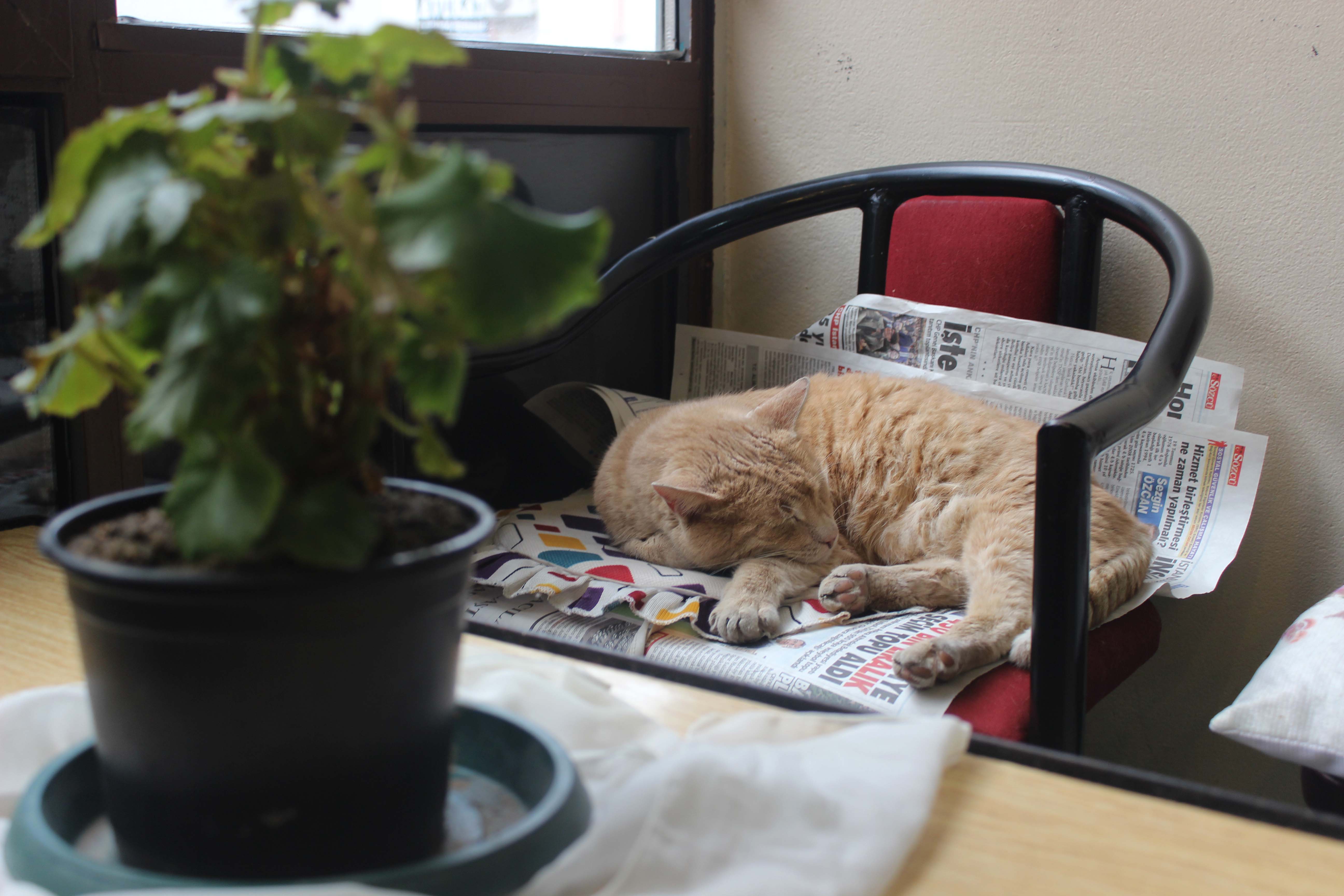 20190130_2_34672313_41200972