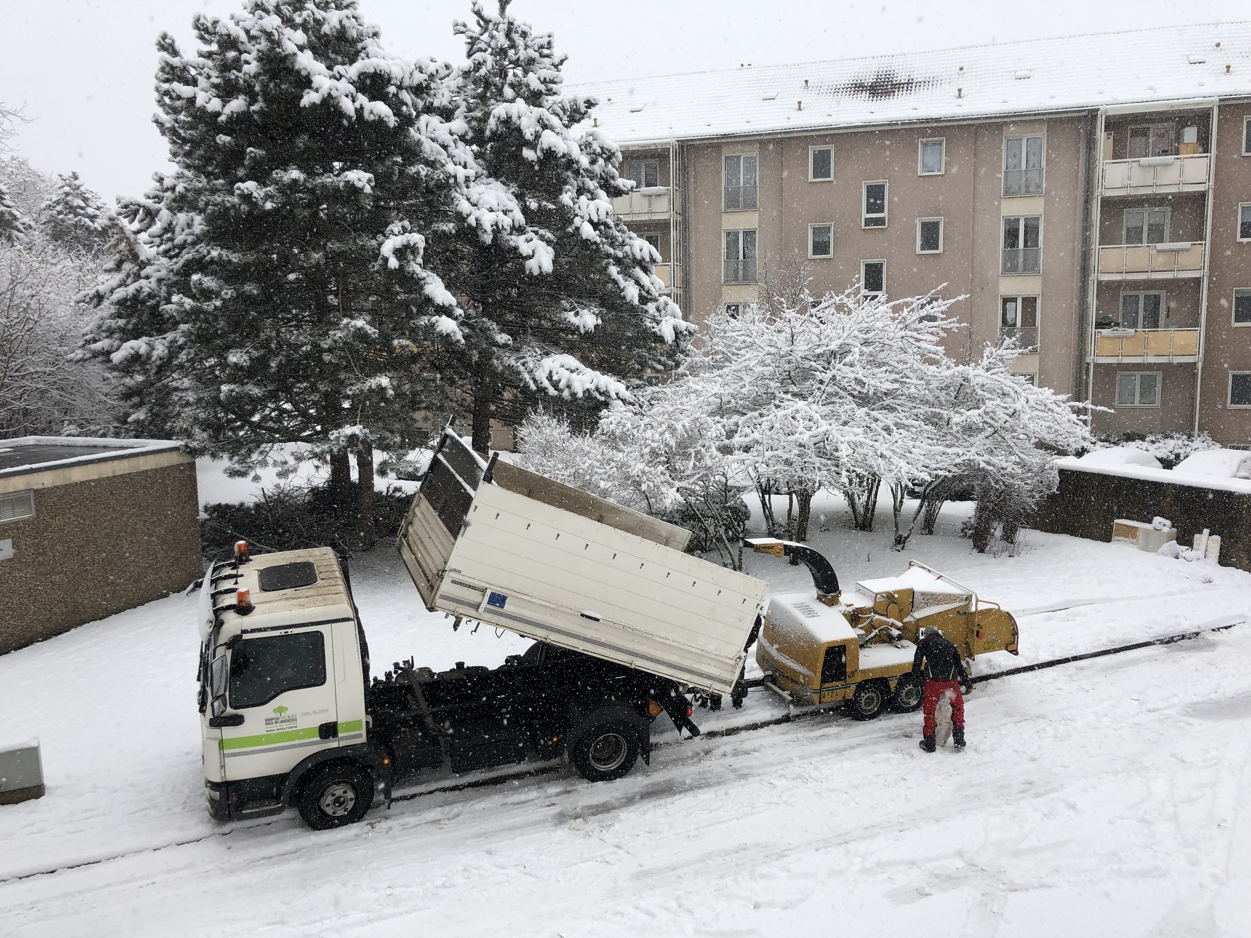 20190131-2-34690985-41229248-223474.jpeg