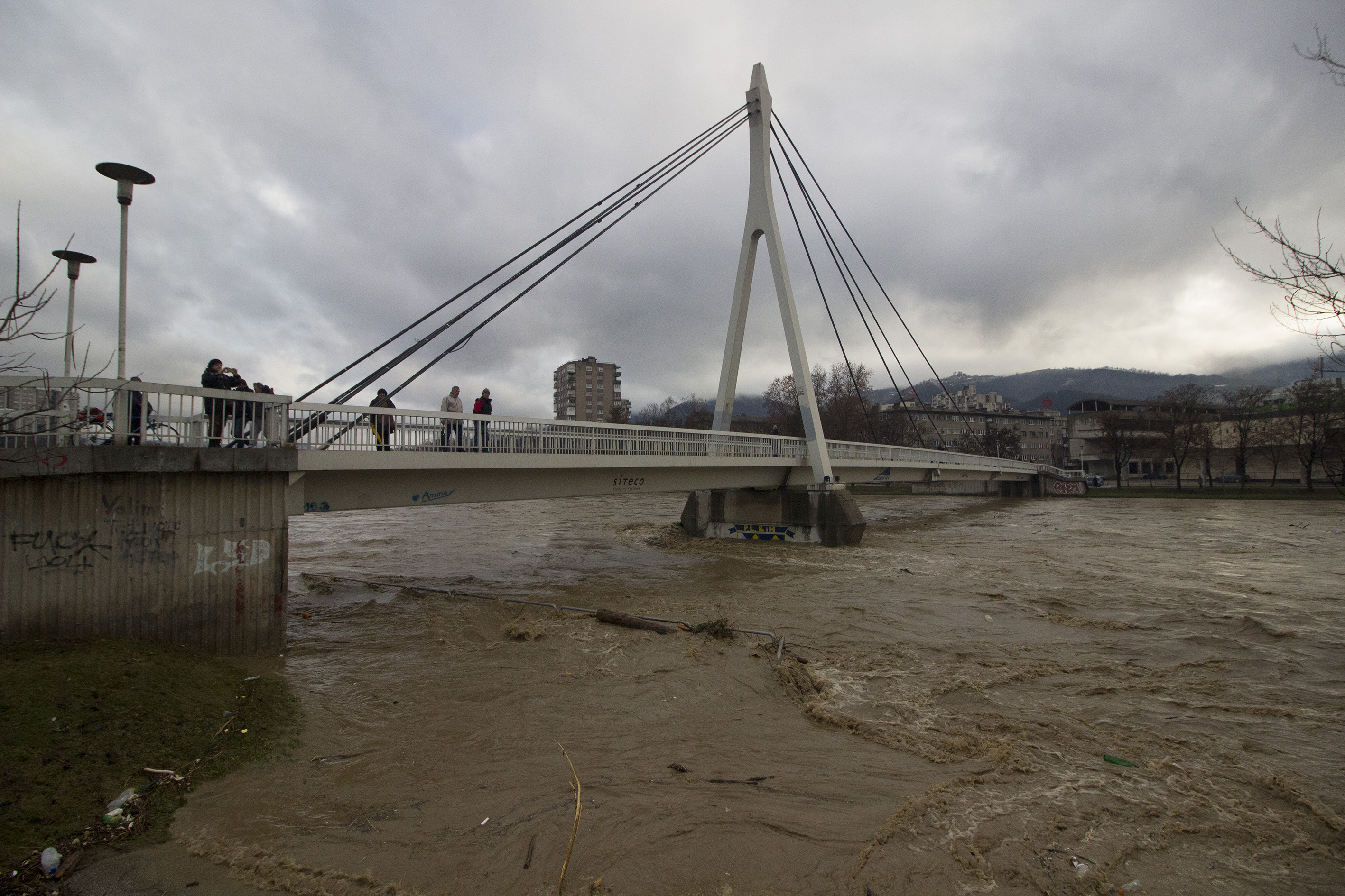 20190203_2_34732370_41307974