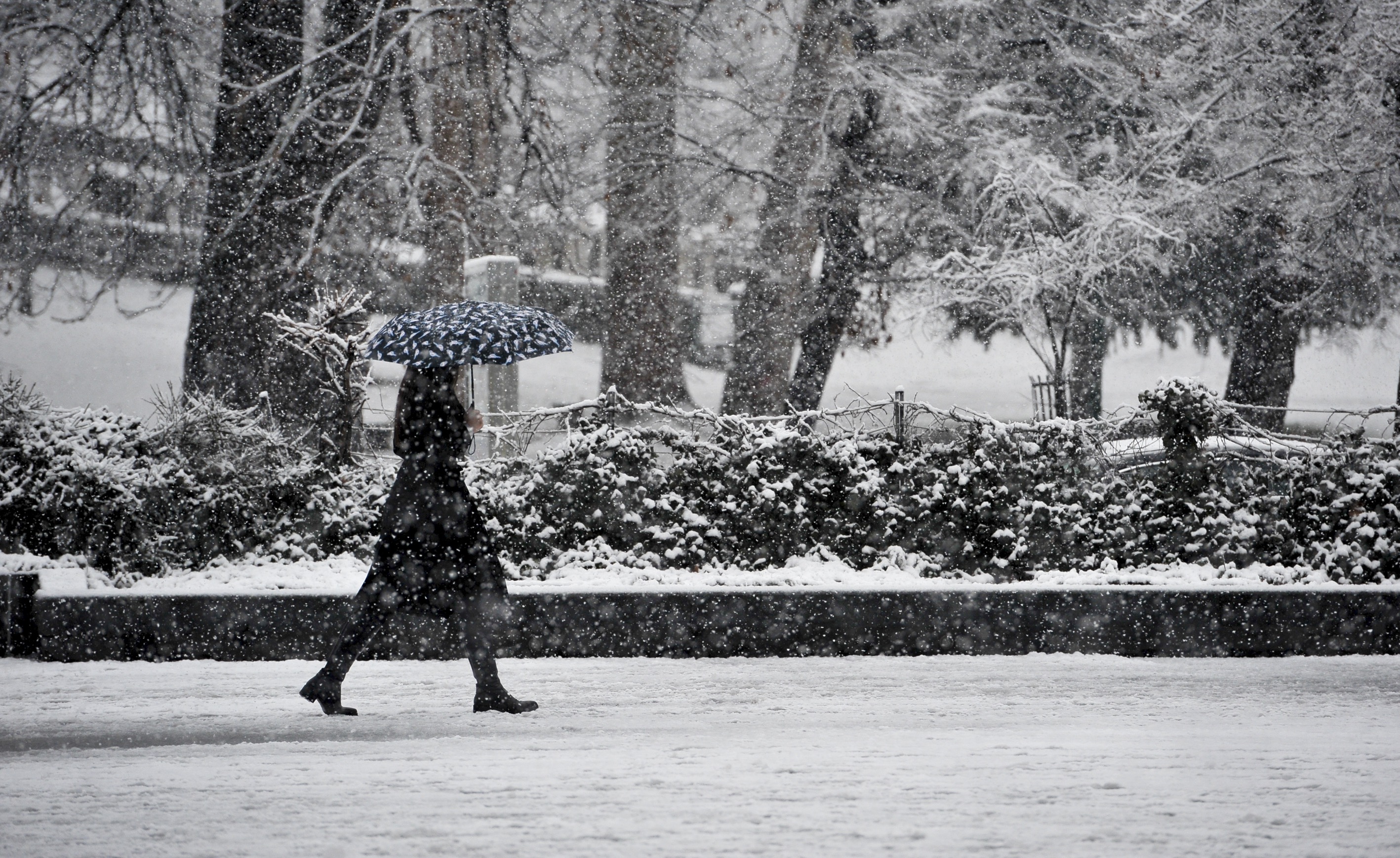 20190211_2_34864796_41556096