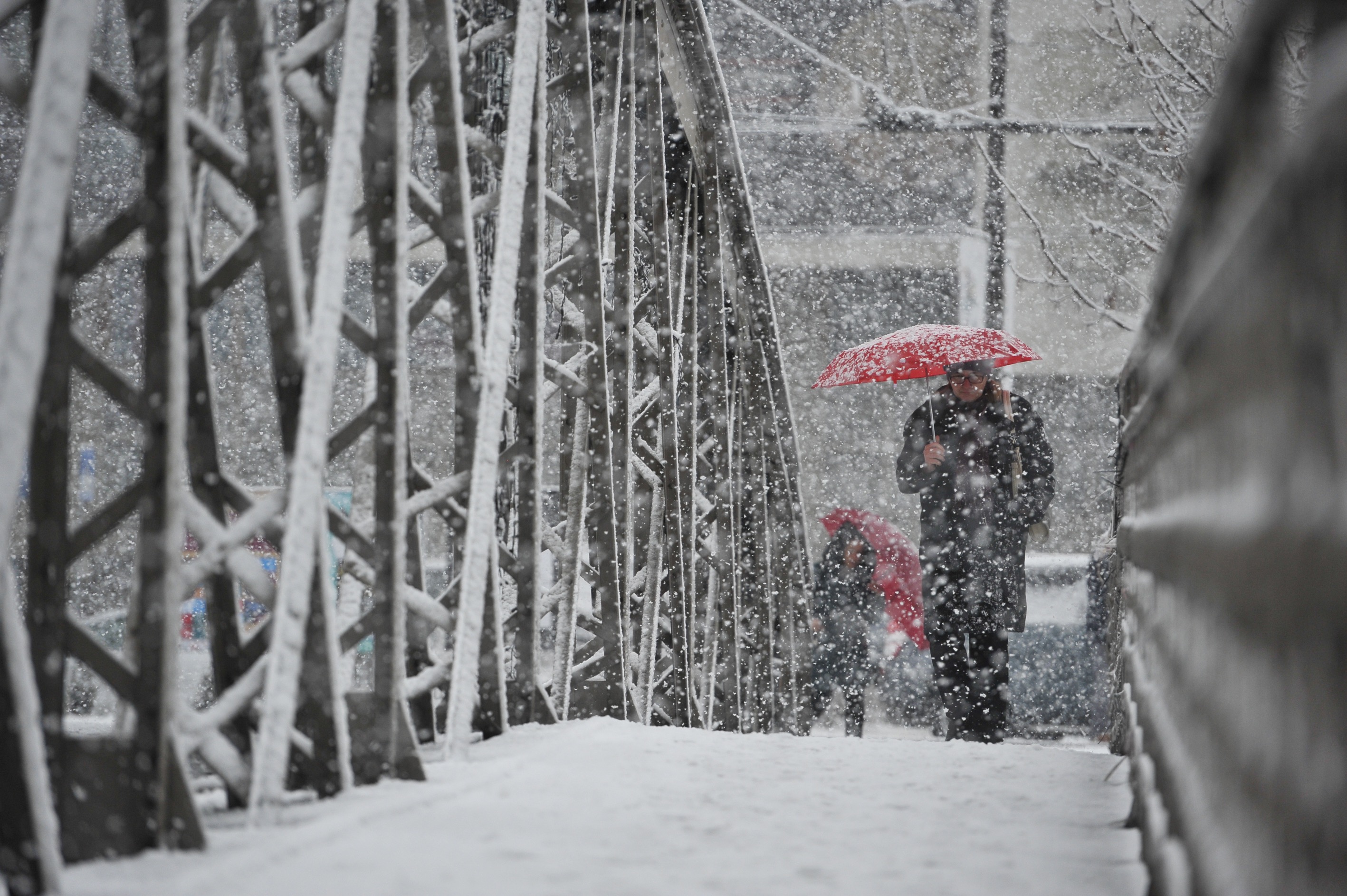 20190211_2_34864796_41556097