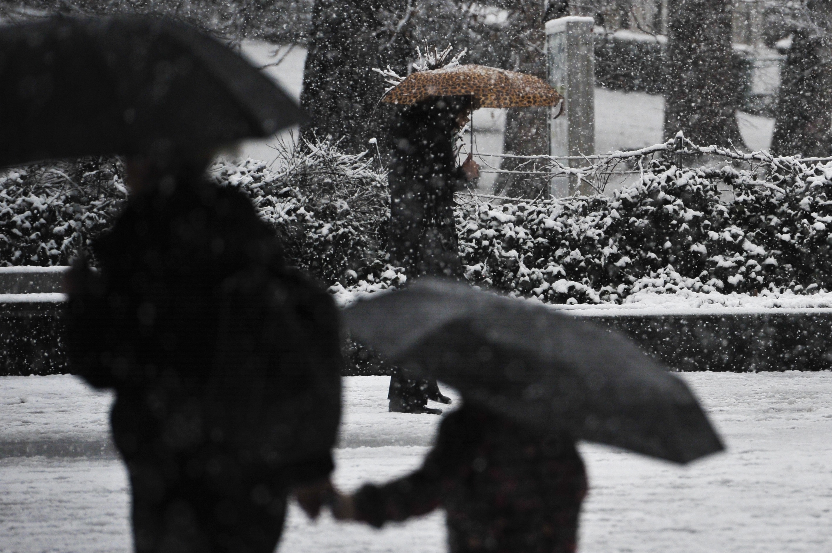 20190211_2_34864796_41556098