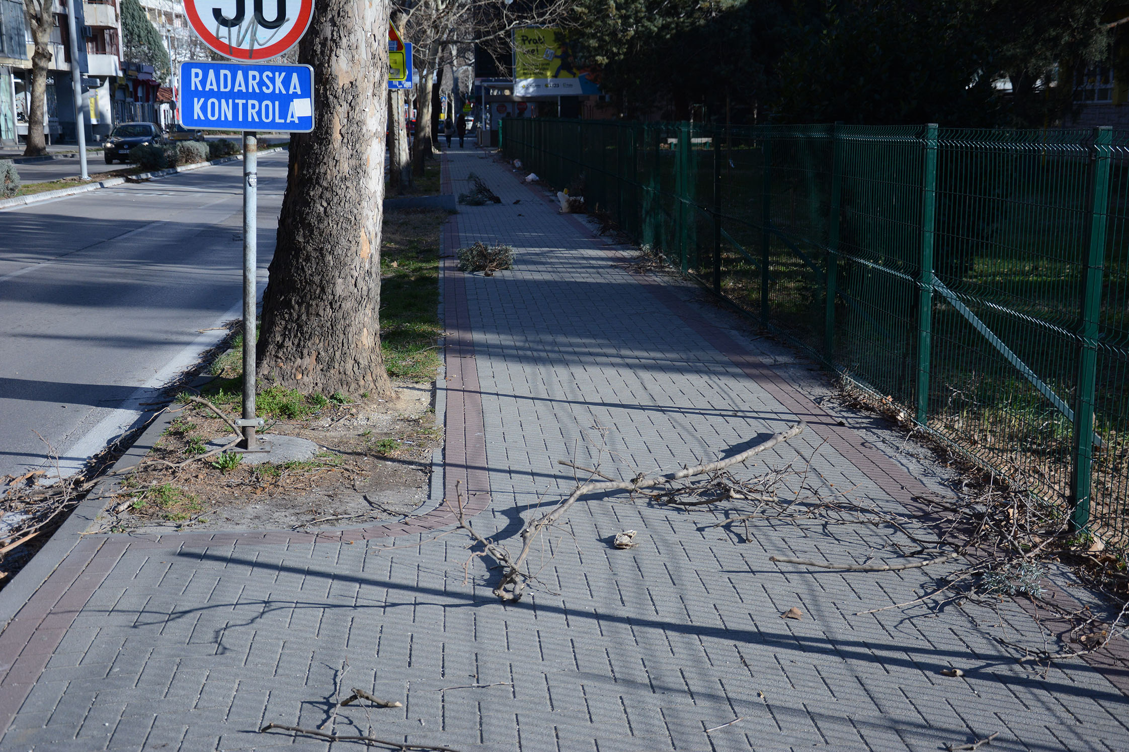 20190223_2_35090404_41948901