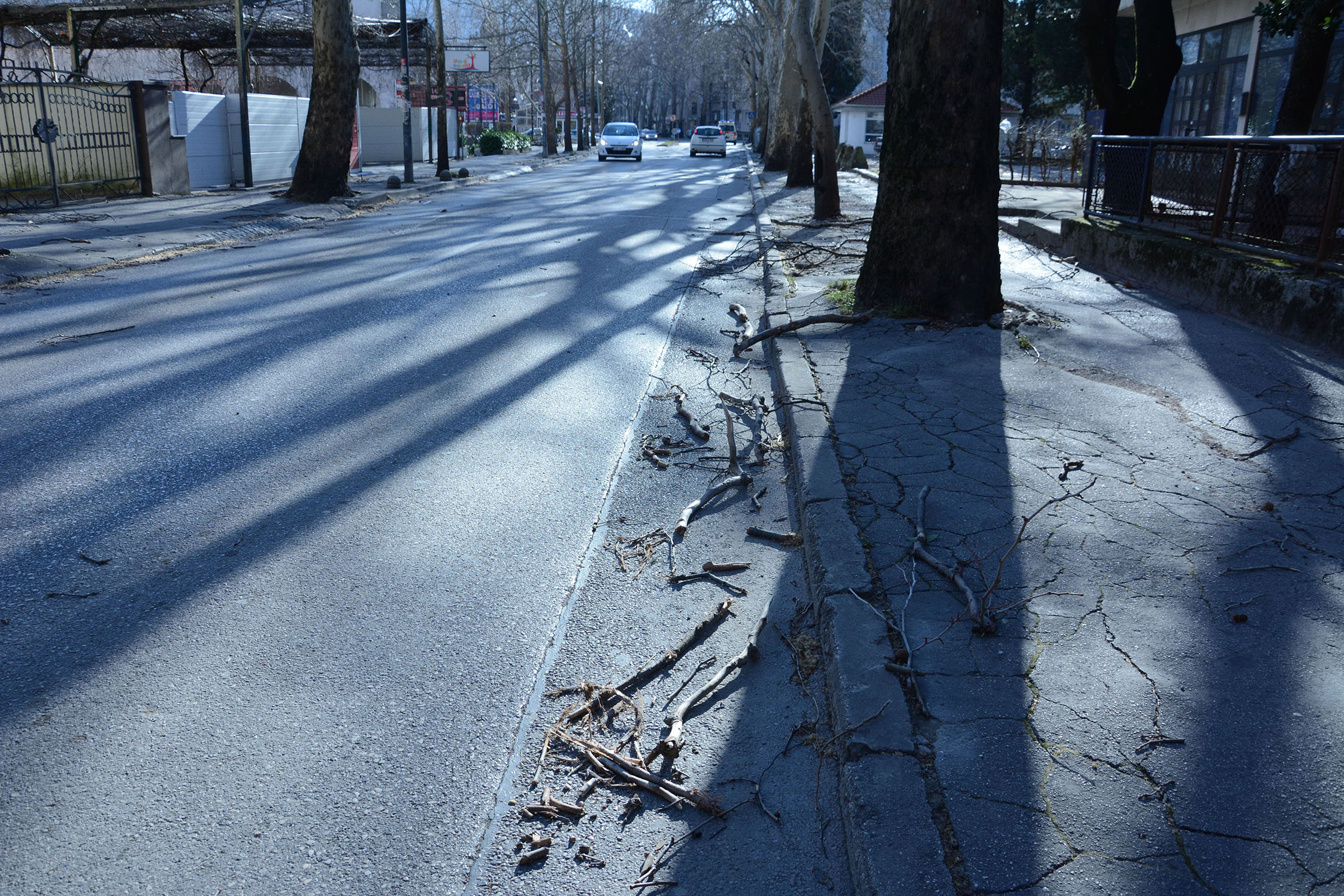 20190223_2_35090404_41948905