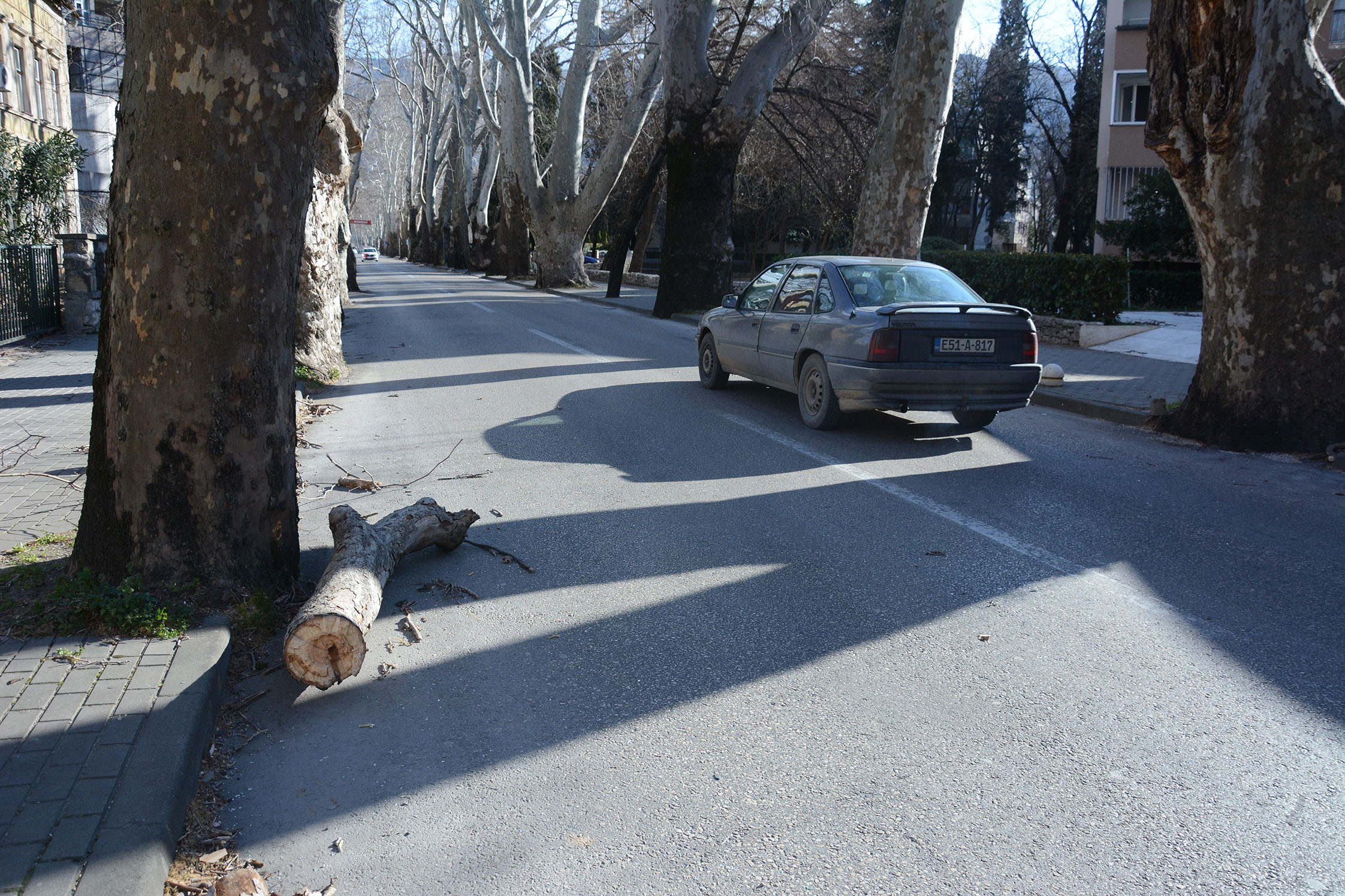 20190223_2_35090404_41948907