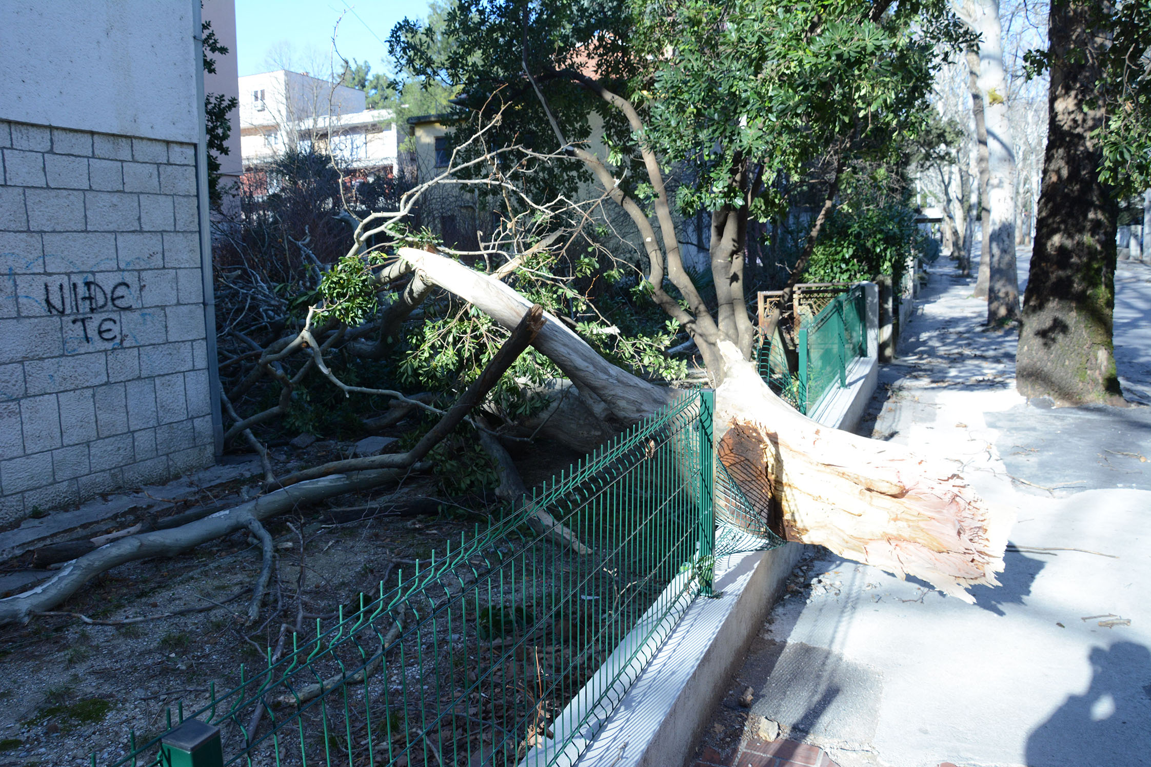 20190223_2_35090404_41948908