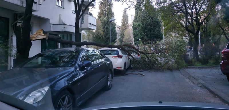 2019022309020_04c484ef-11fd-4783-8da8-35c2eab04420