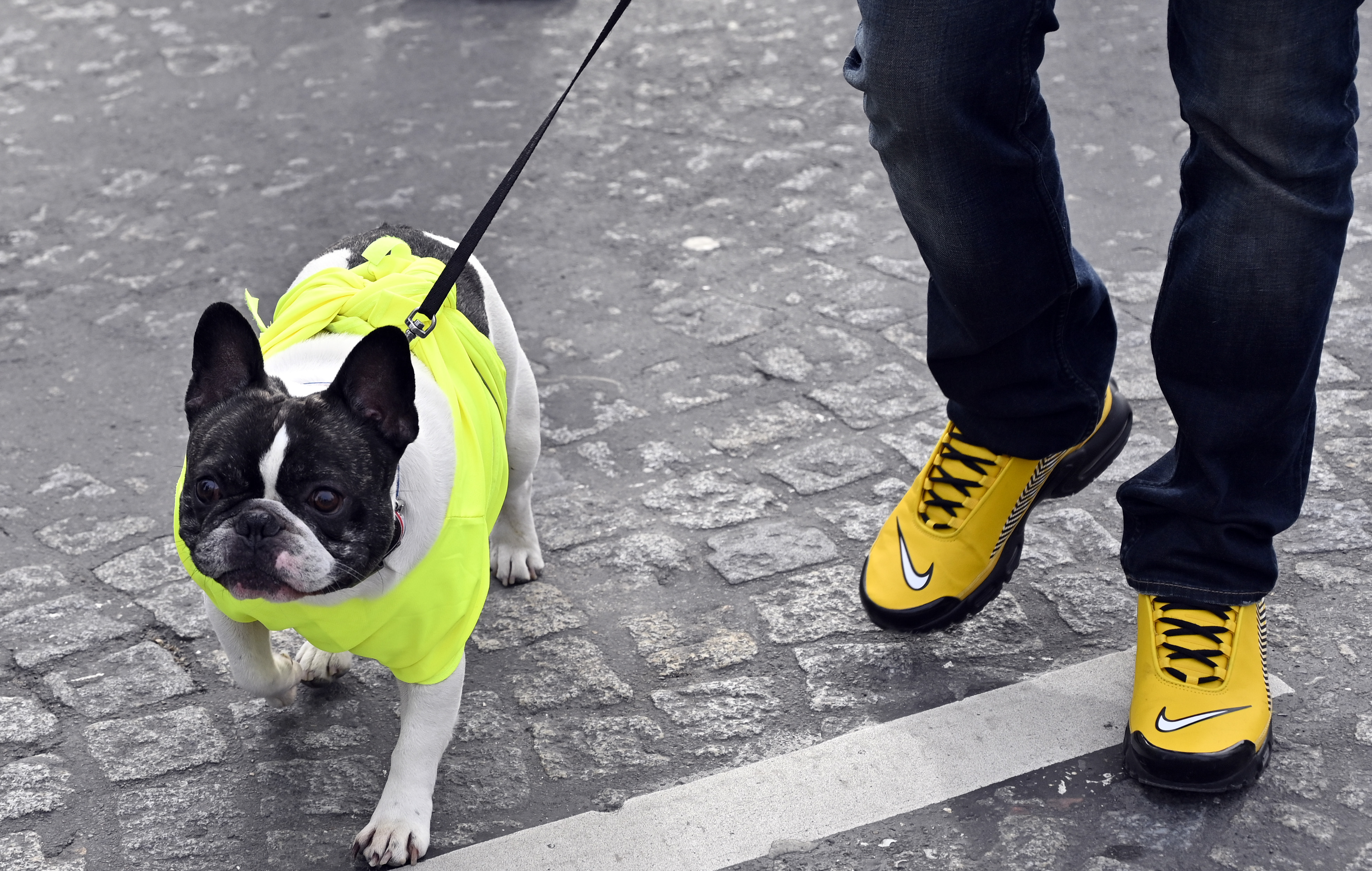 20190309_2_35345036_42442322