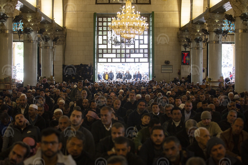 20190315_2_35451344_42620429_Preview