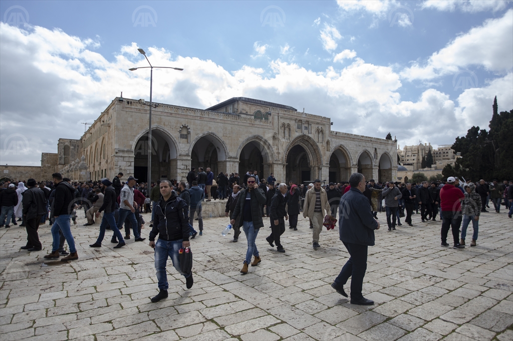 20190315_2_35451344_42620432_Preview