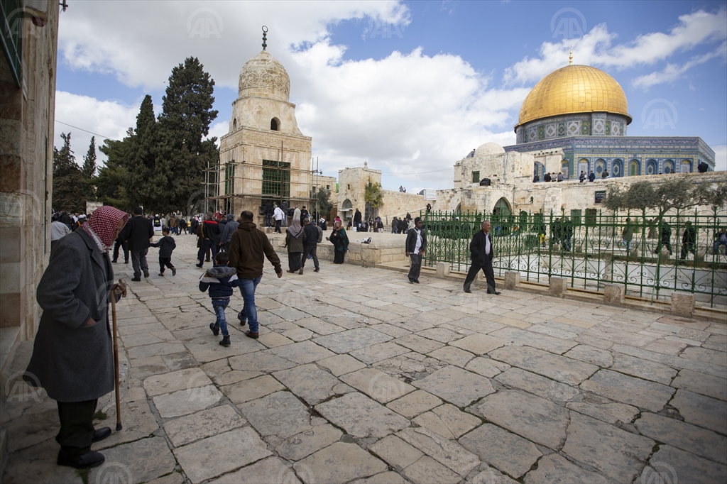 20190315_2_35451344_42620433_Preview