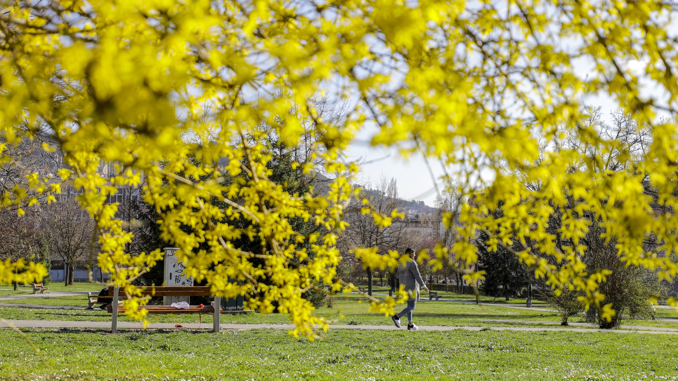 20190330_2_35730854_43120256