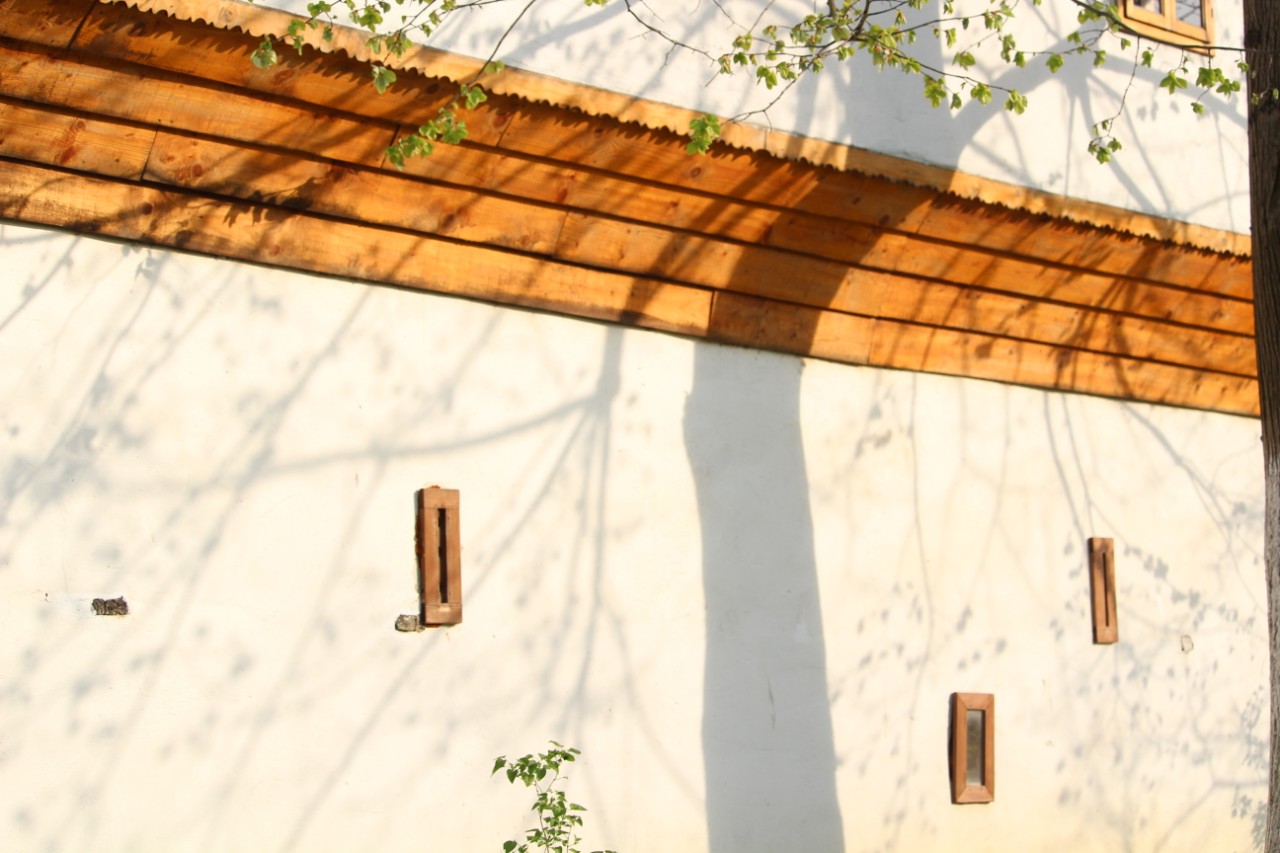 20190420_2_36074513_43731695