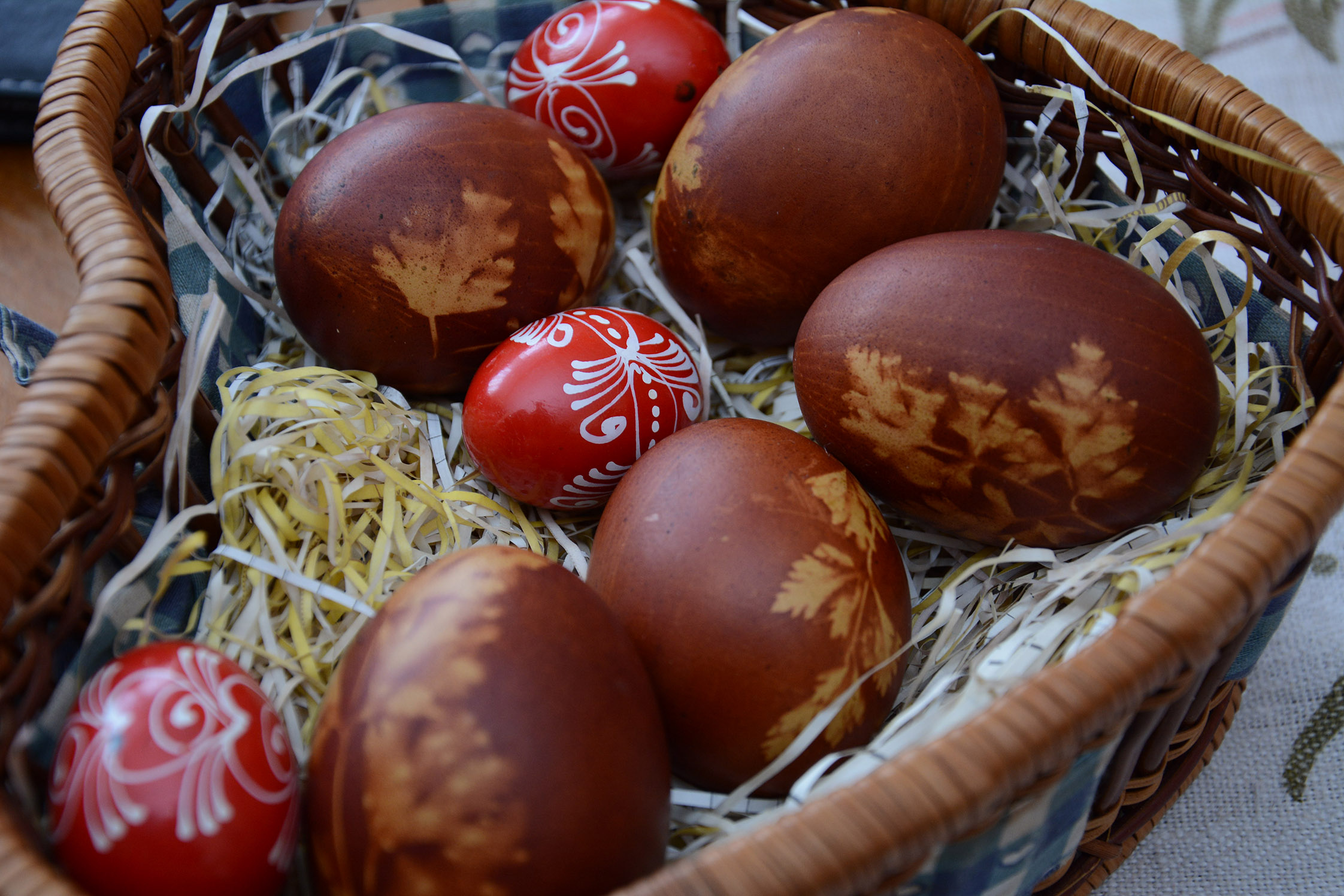 20190421_2_36084940_43757857