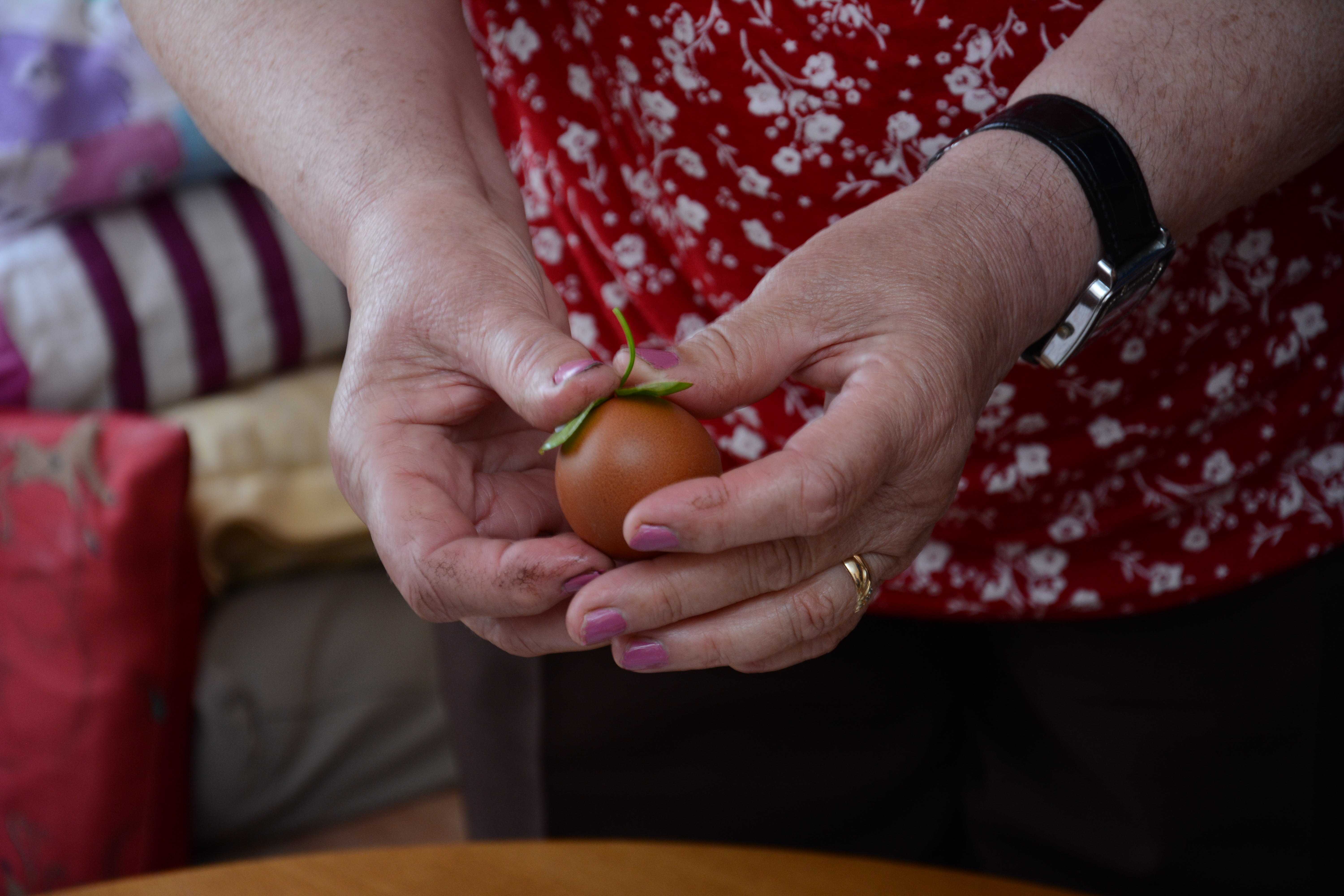 20190421_2_36084940_43757859