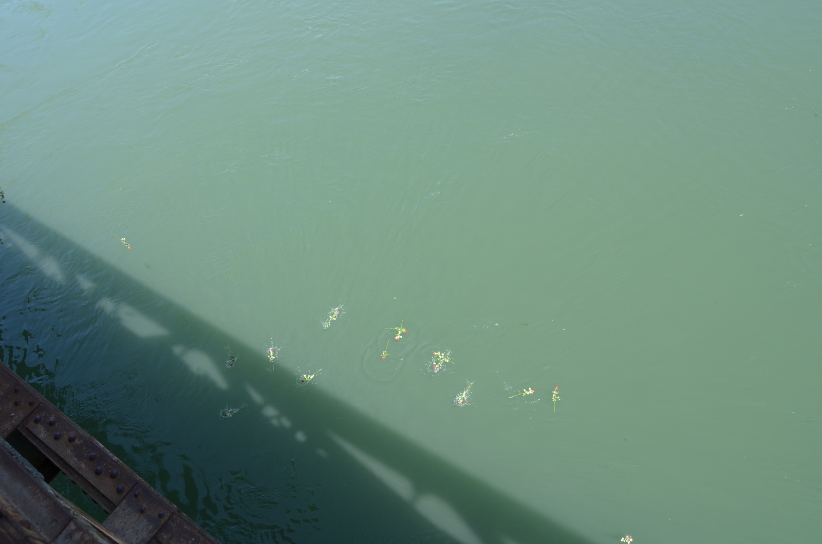 20190511_2_36404343_44376199